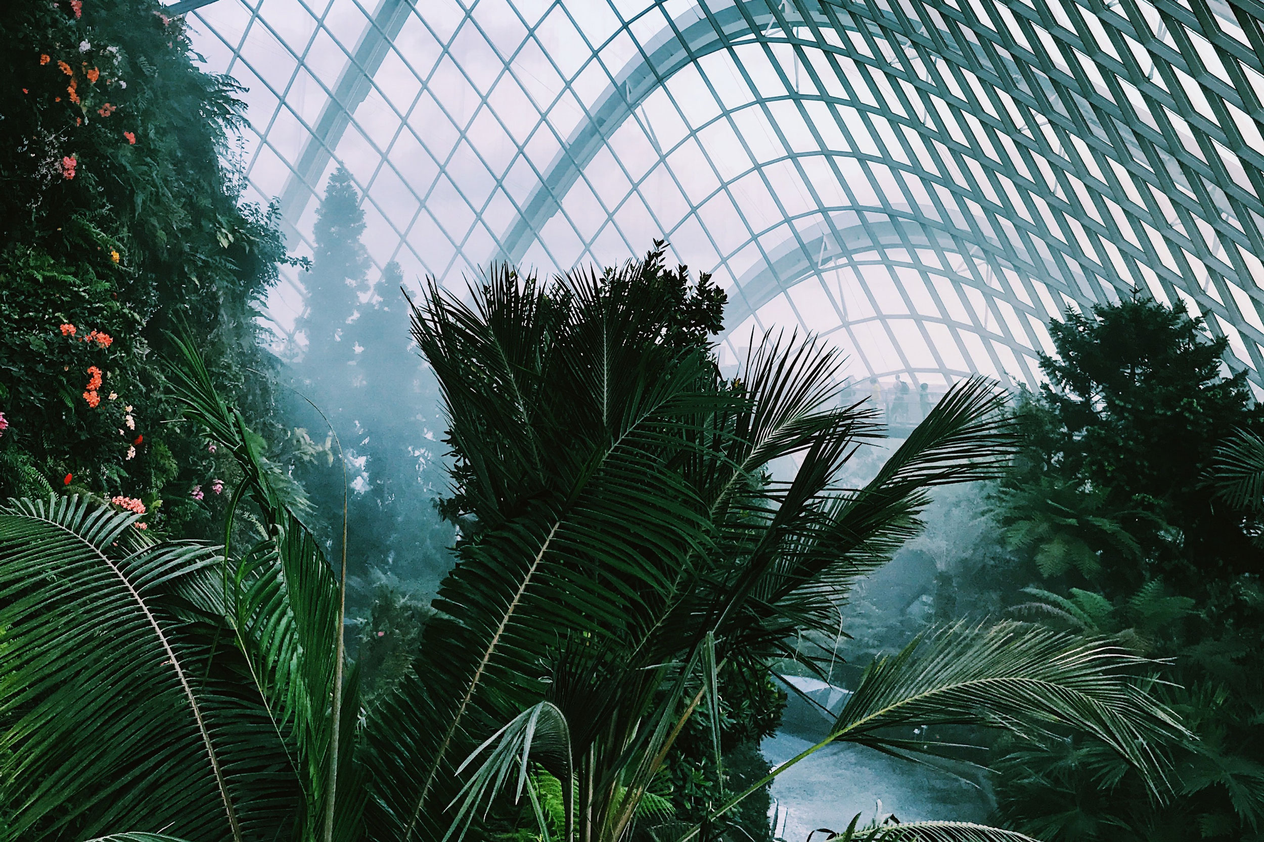 Jewel Changi Airport, Singapore, indoor plants