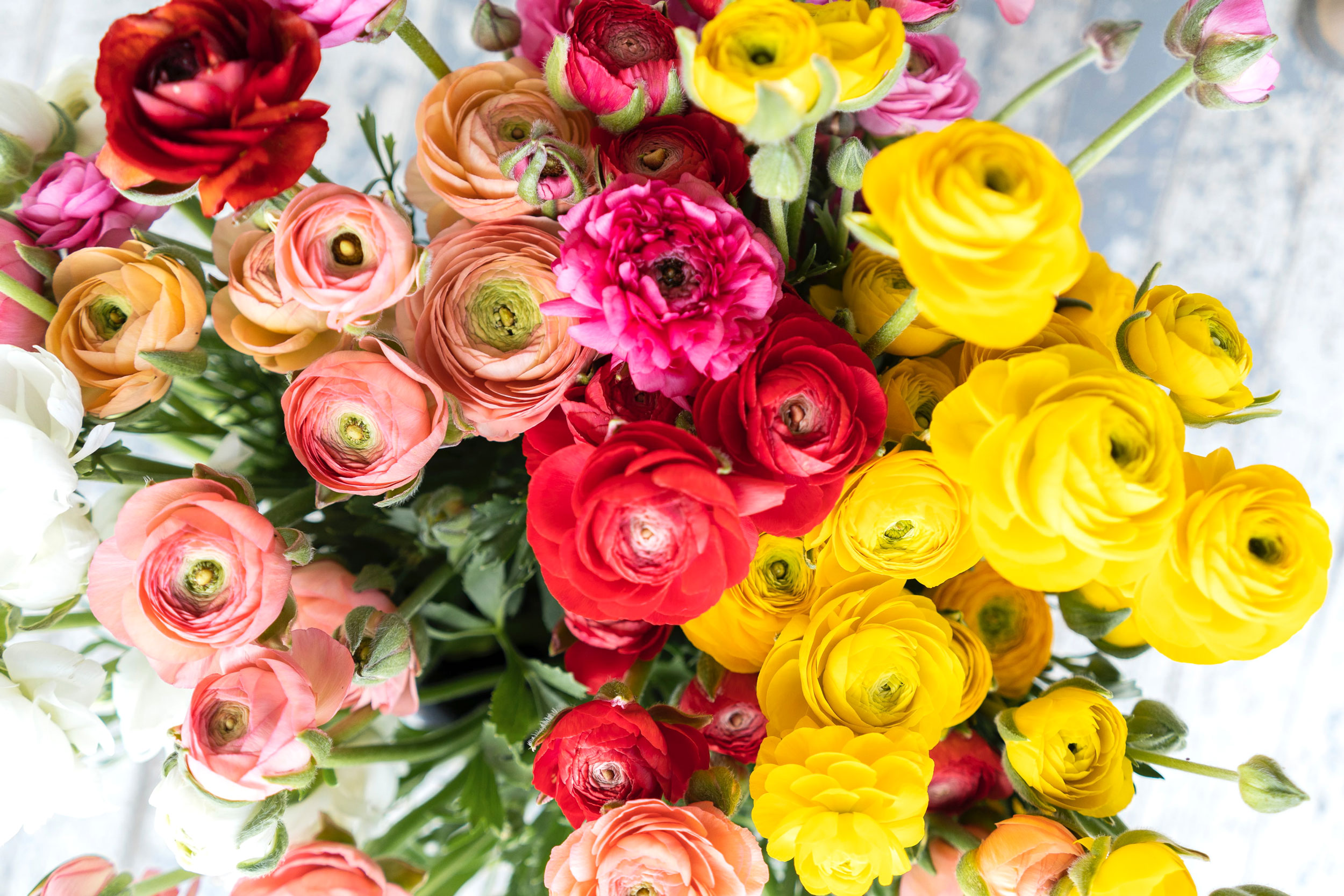 Astro Daily: May 12, 2021