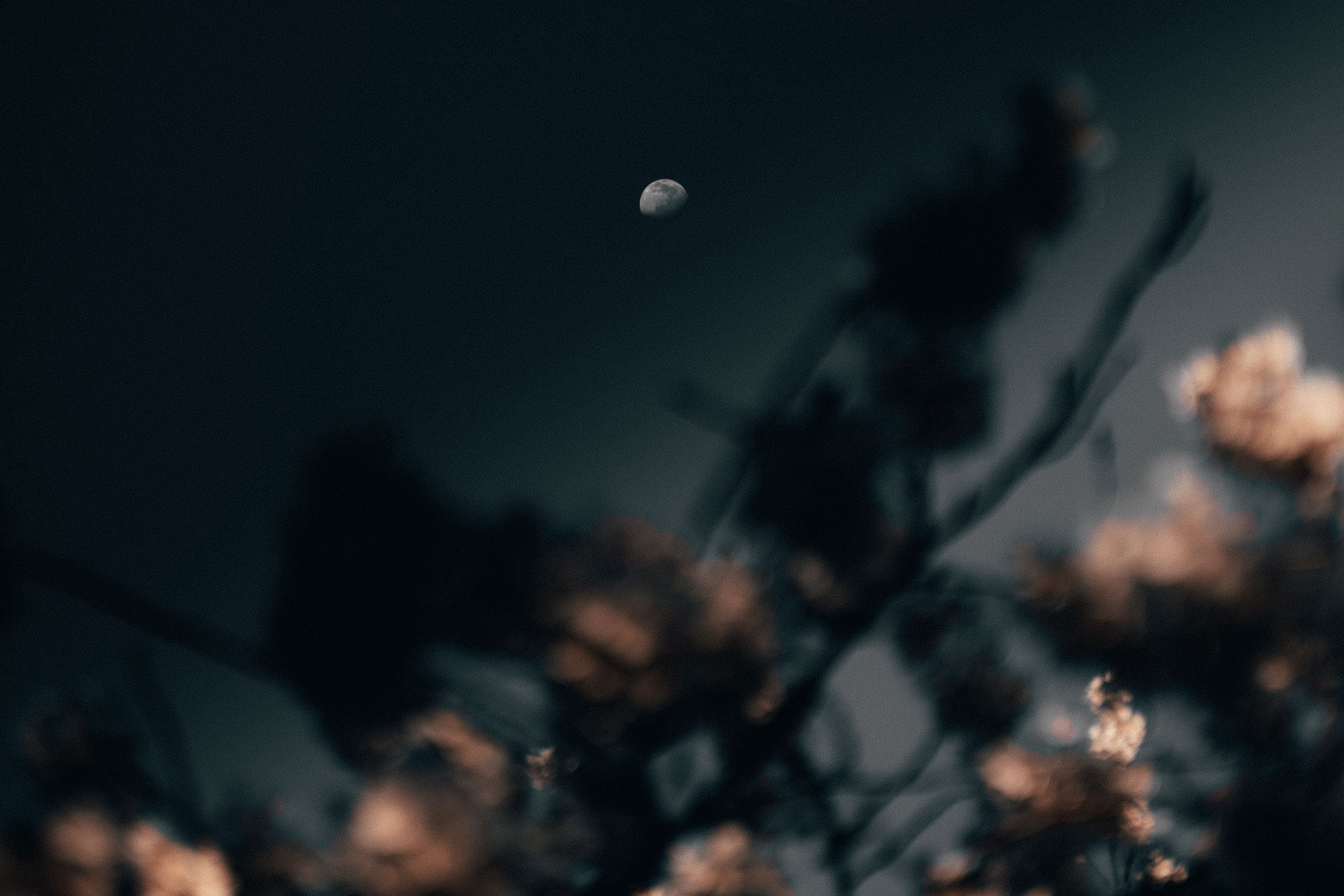 Astro Daily: June 7, 2021
