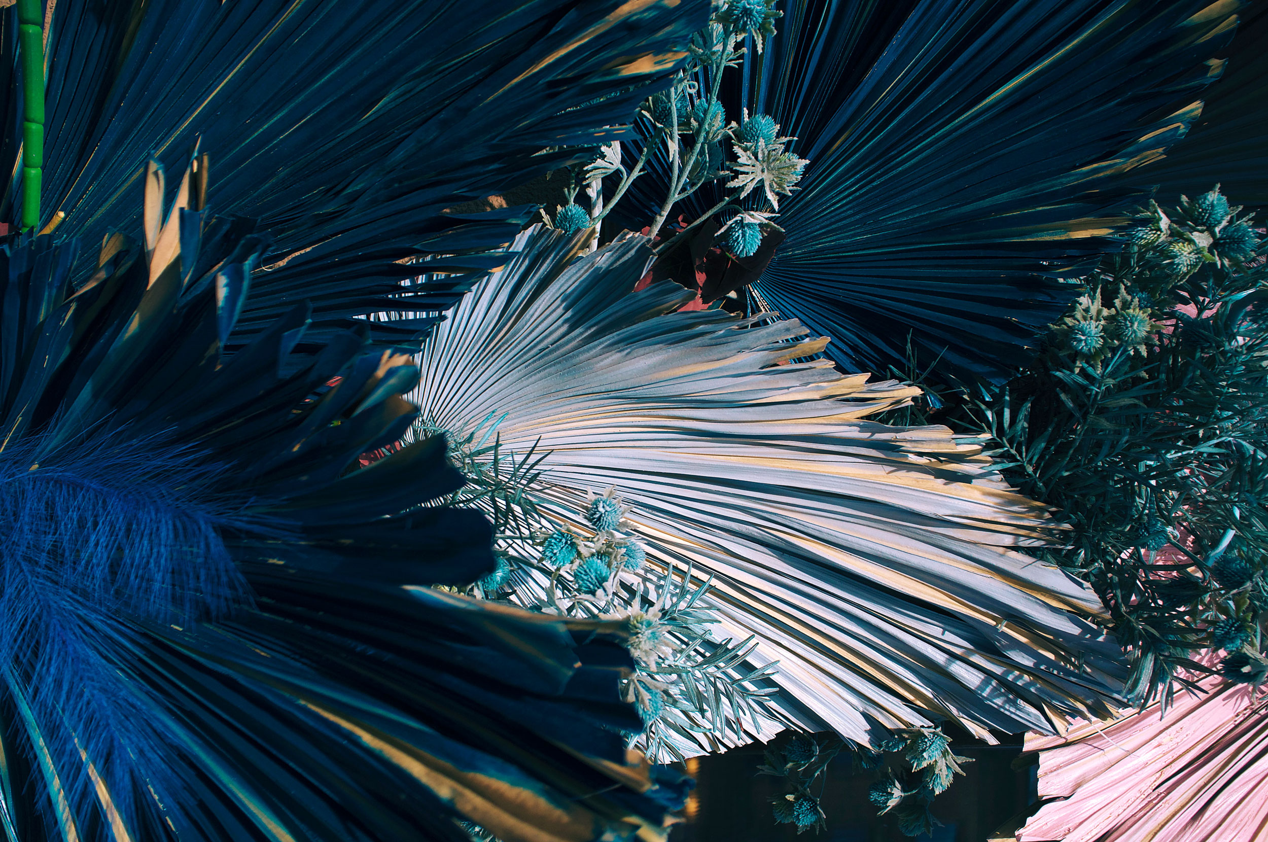 Astro Daily: June 16, 2021