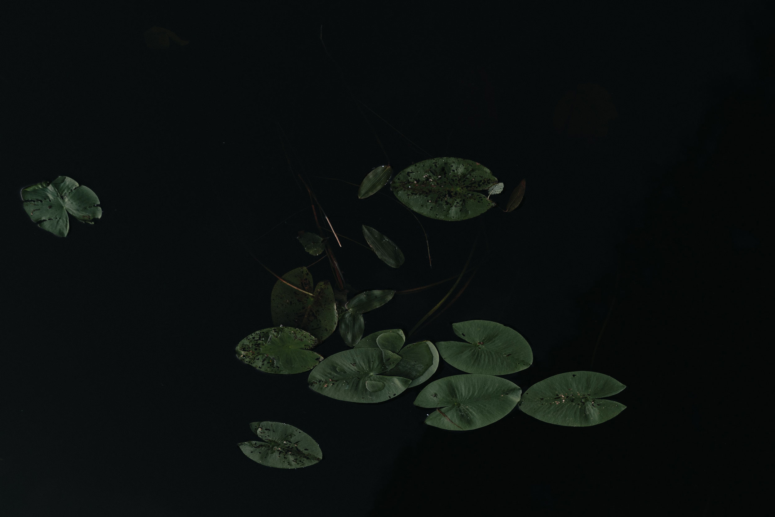 Astro Daily: June 30, 2021
