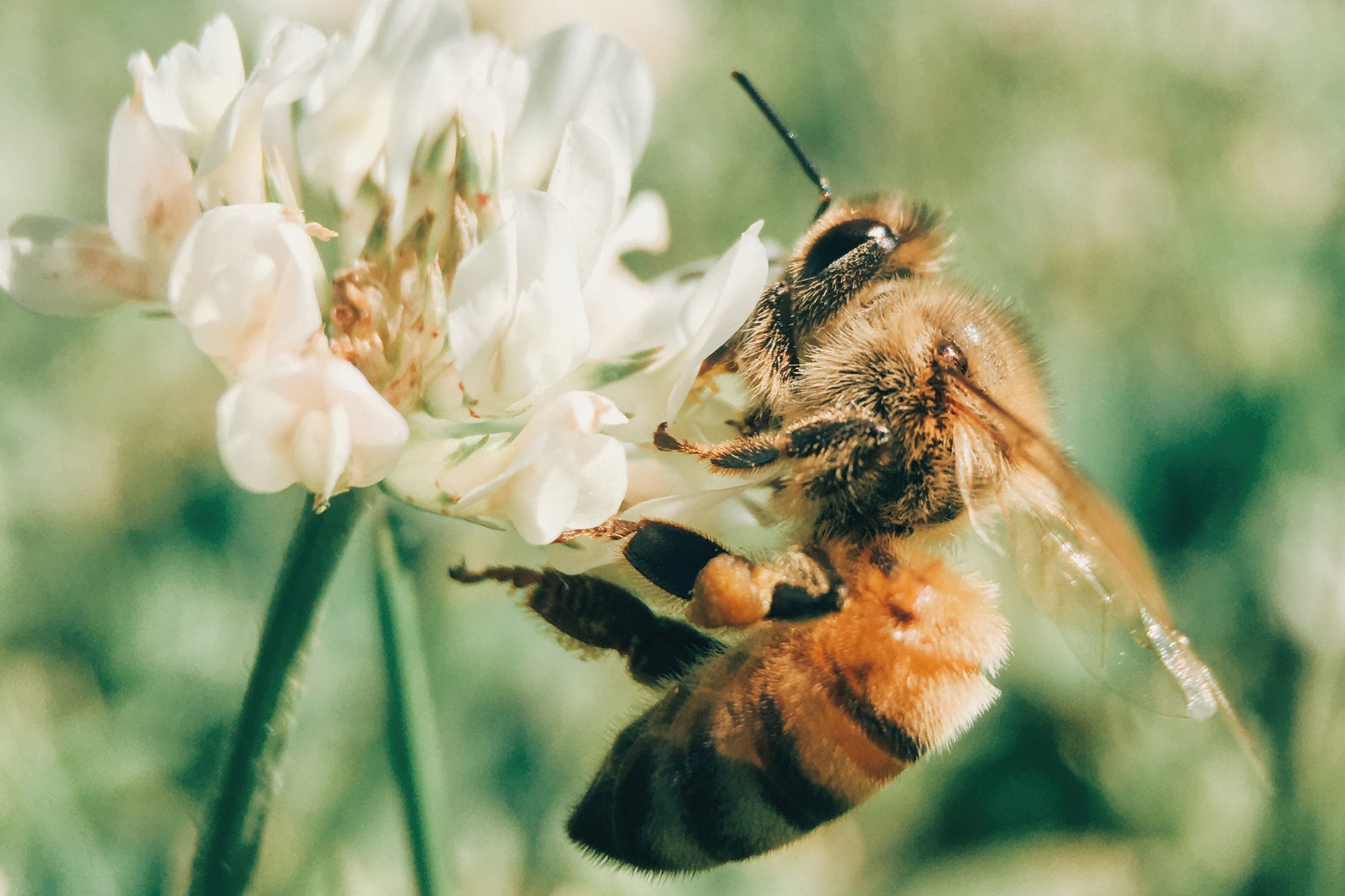 Astro Daily: July 30, 2021