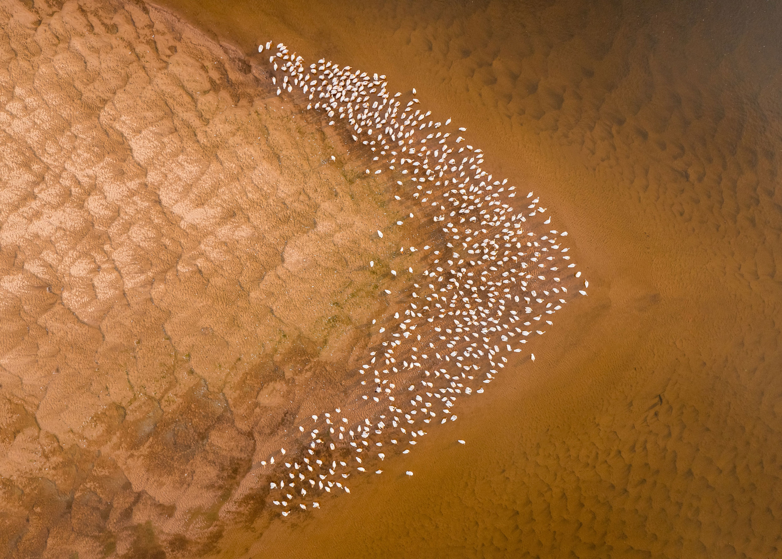 Astro Daily: August 25, 2021