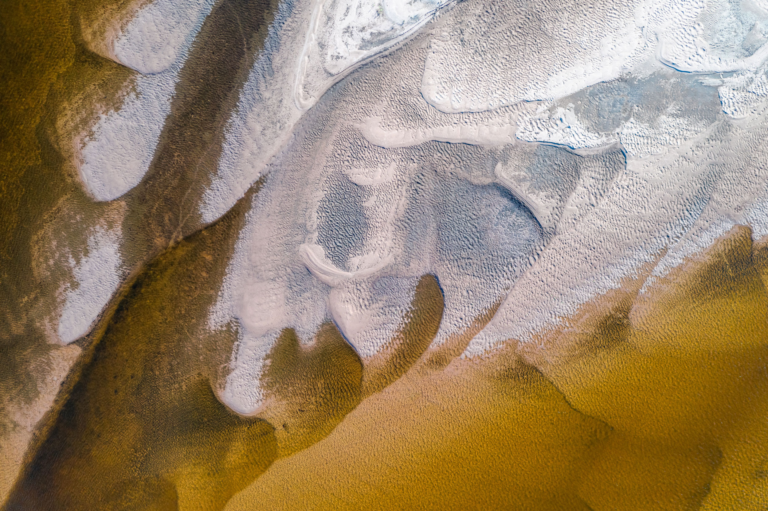 Astro Daily: August 2, 2021