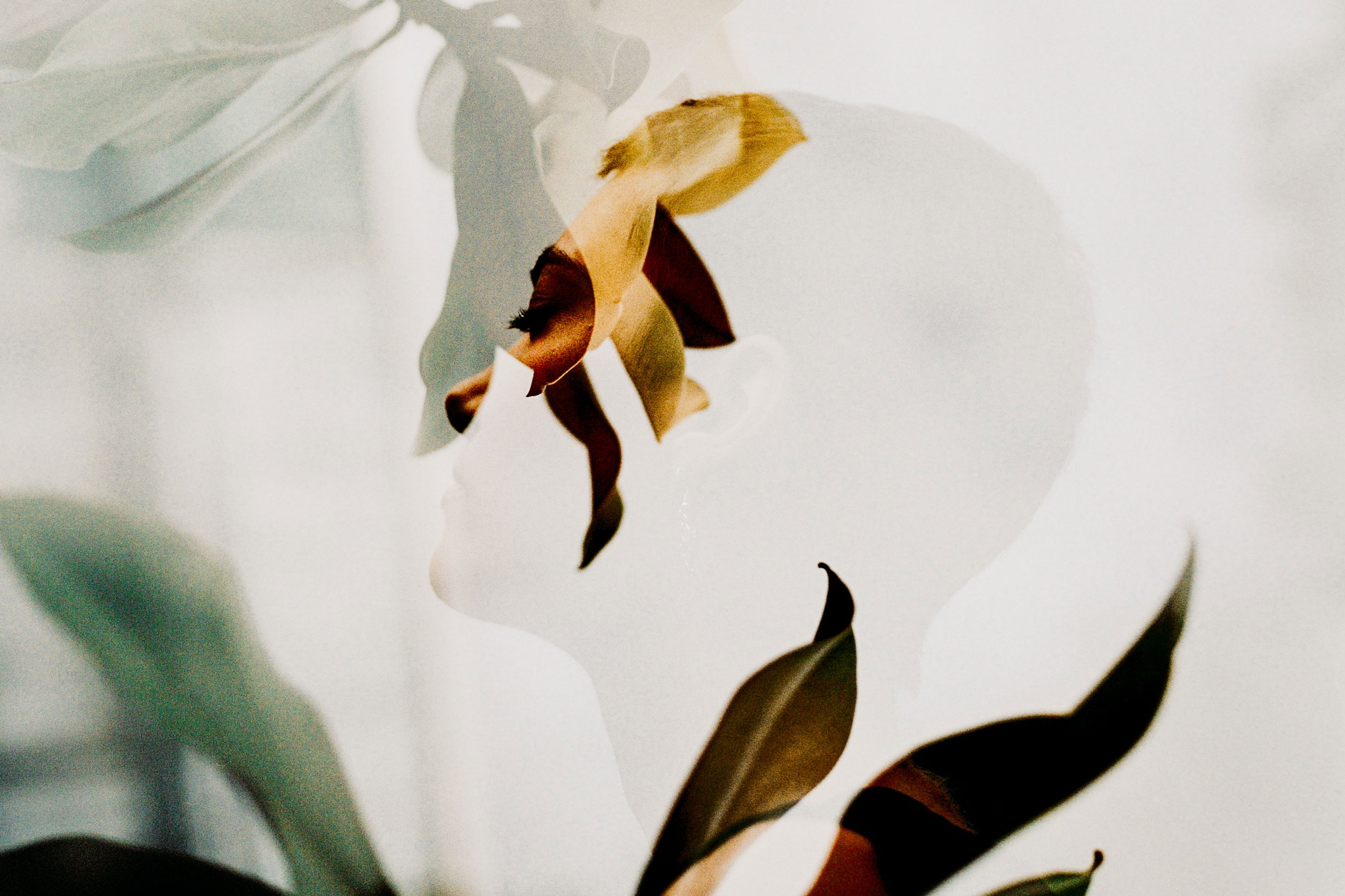 Astro Daily: August 23, 2021