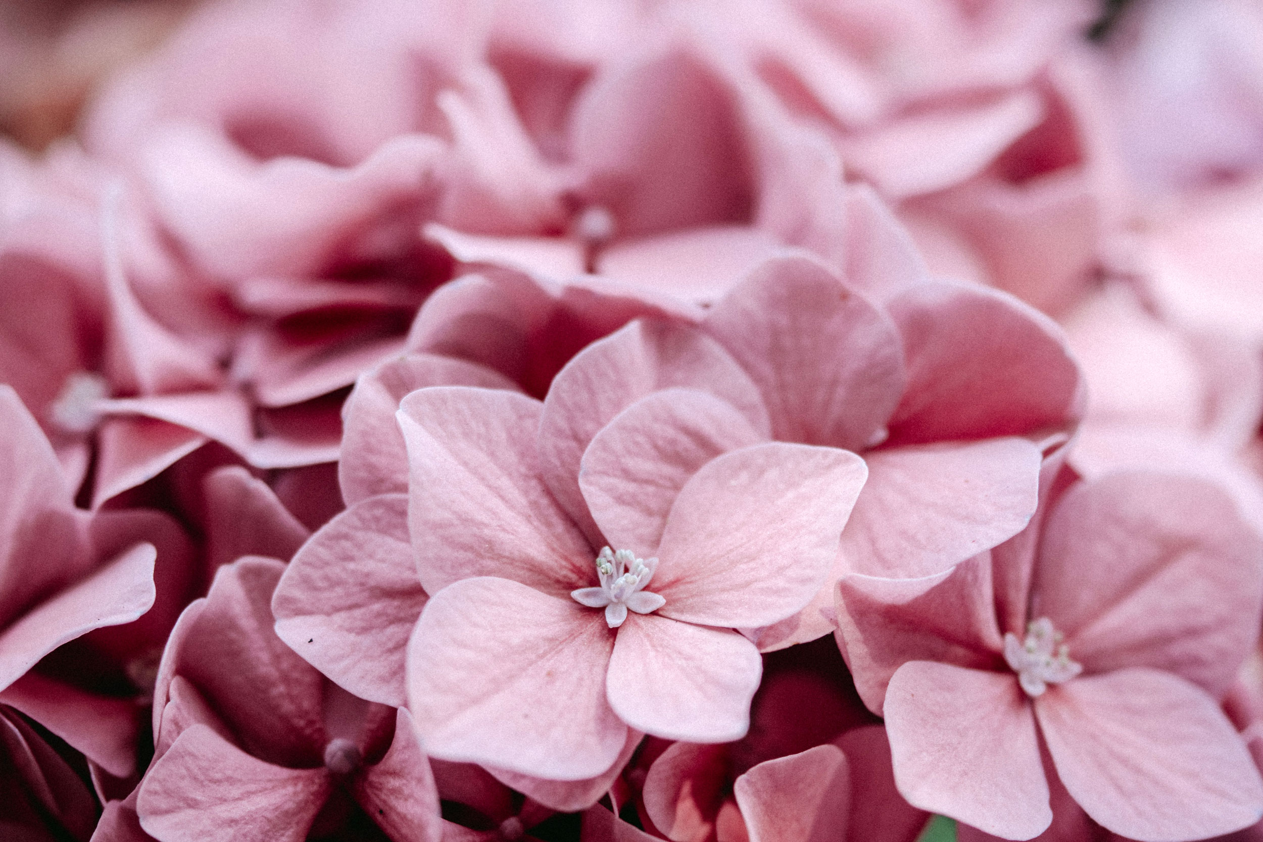 Astro Daily: September 24, 2021