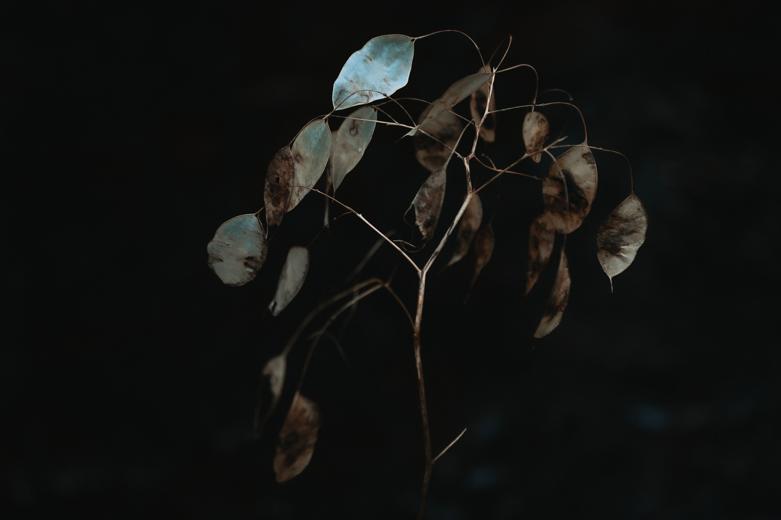 Astro Daily: November 3, 2021