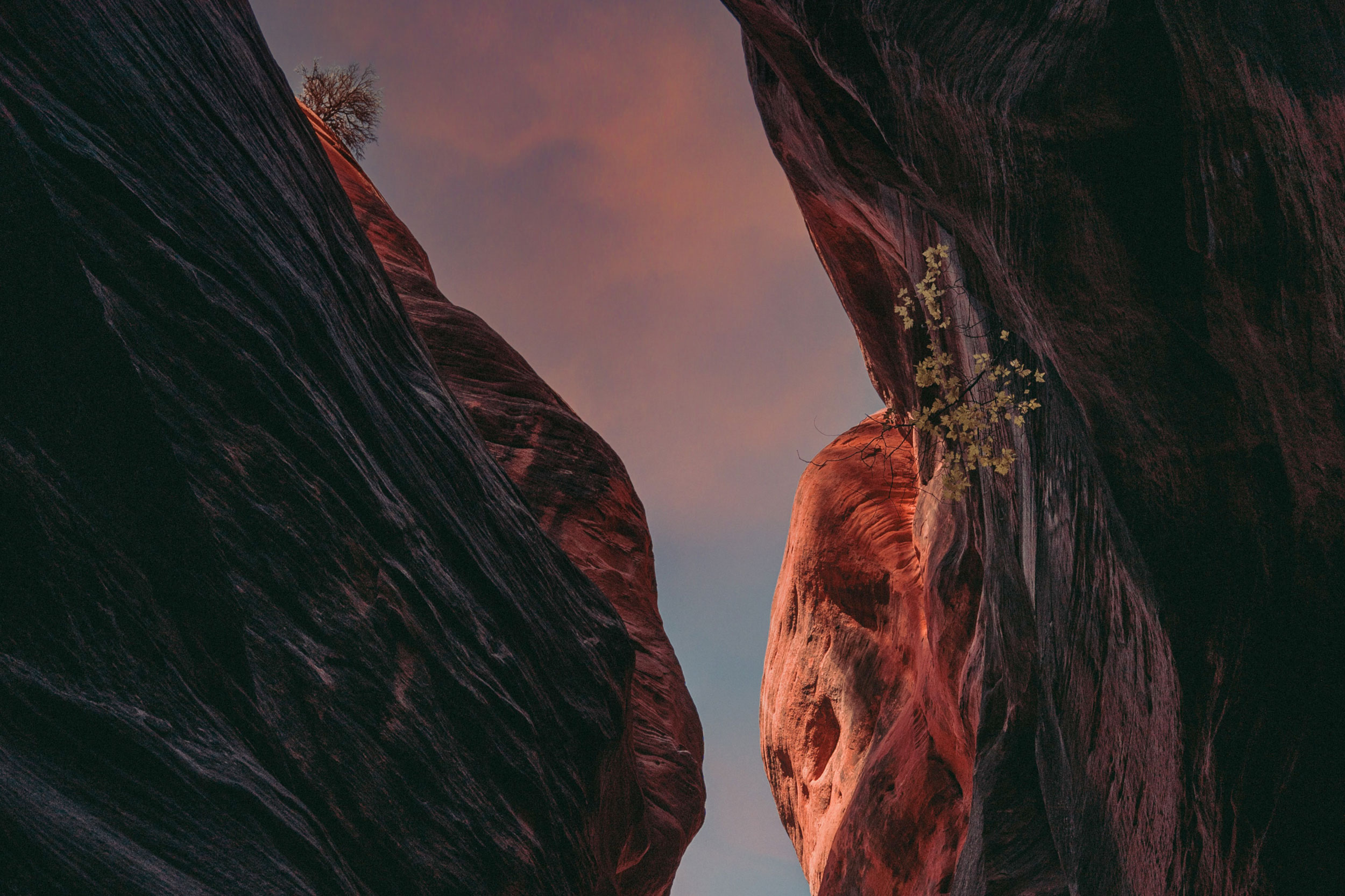 Astro Daily: November 8, 2021