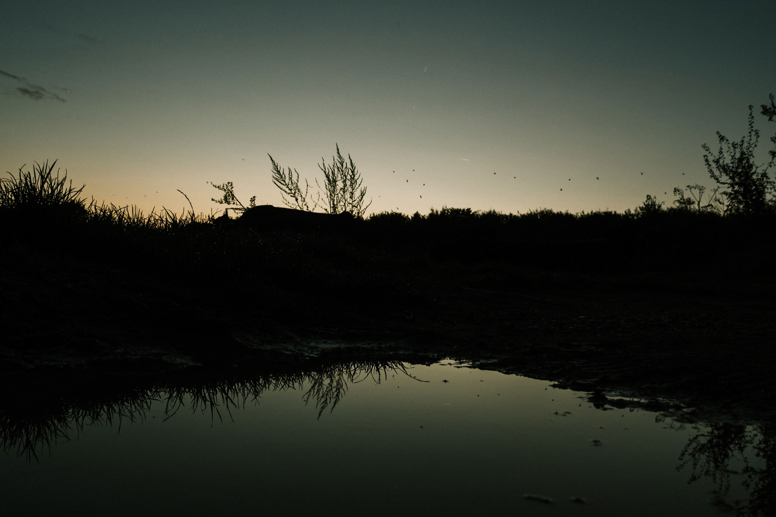 Astro Daily: December 2, 2021