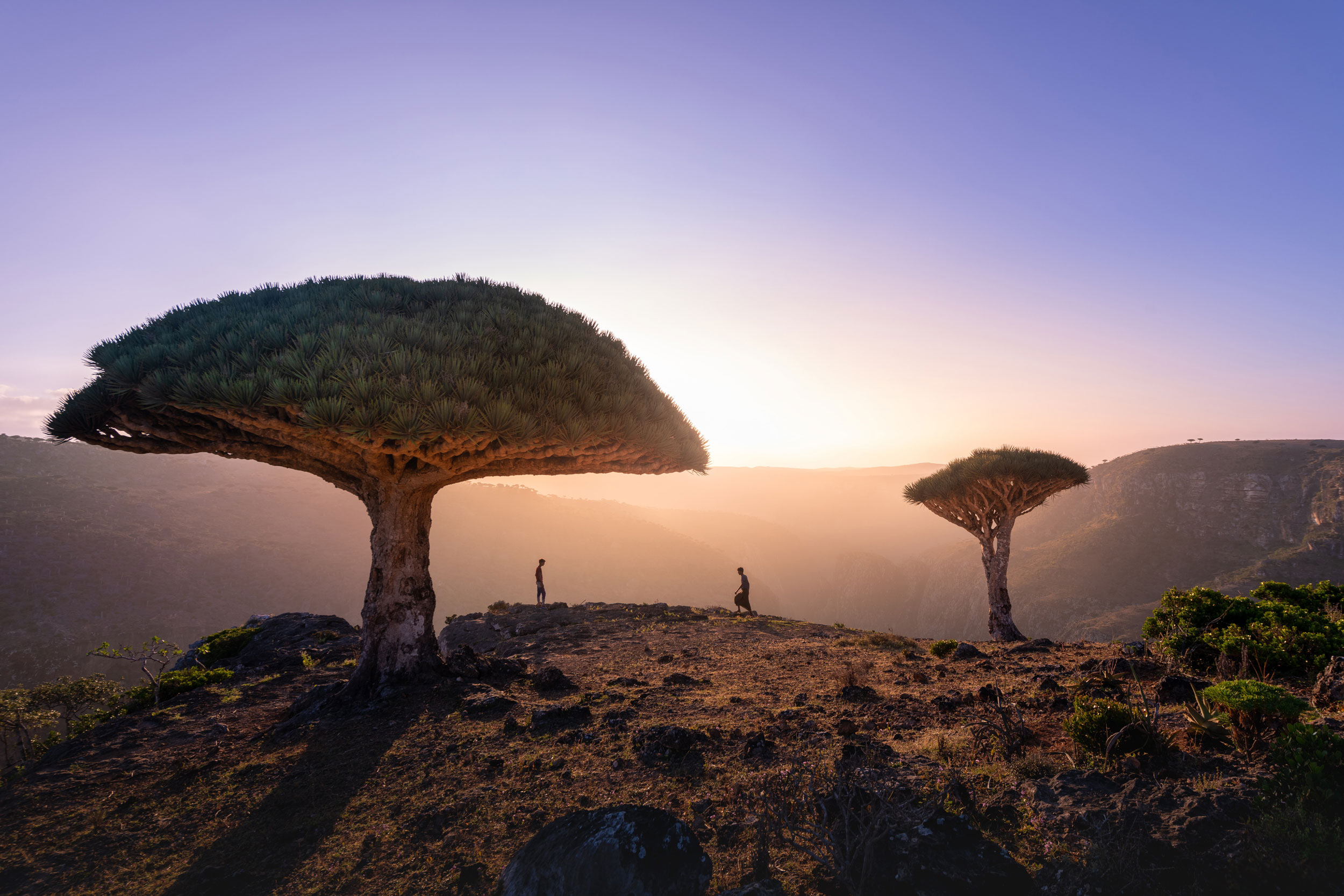 Socotra Island