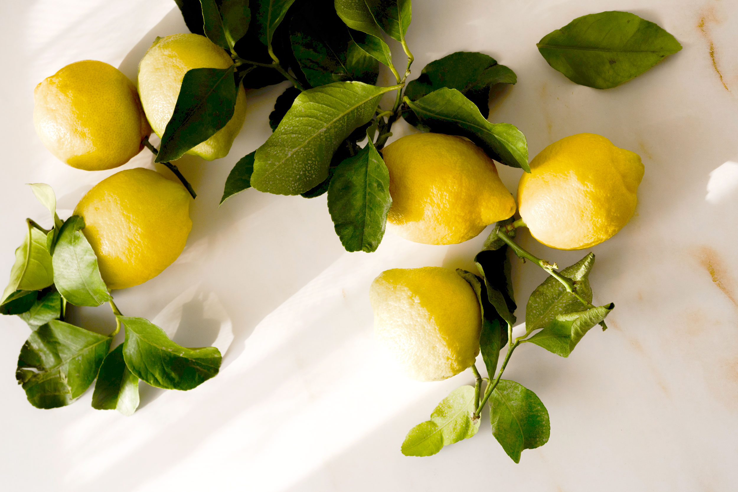 Lemons