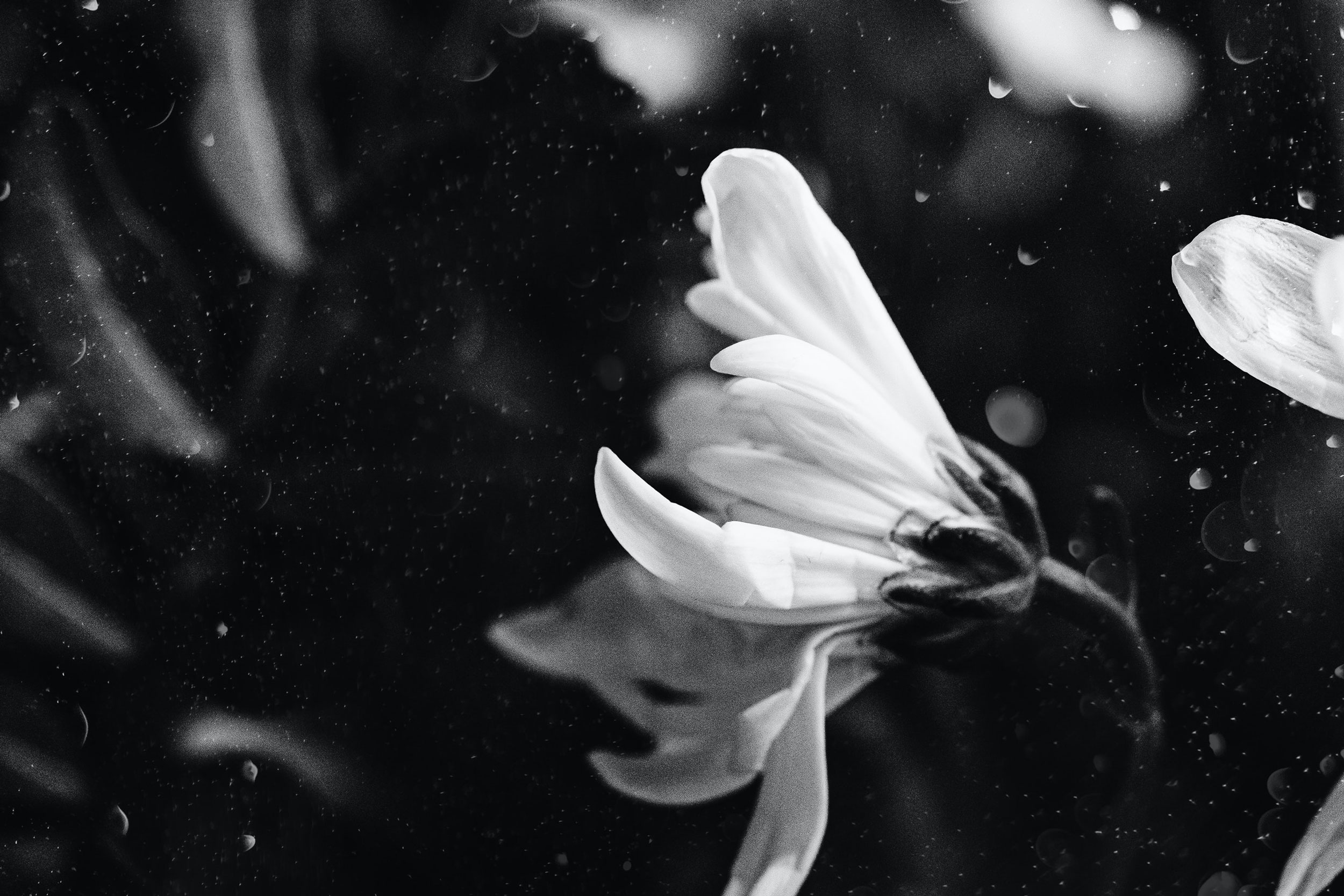 Astro Daily: February 21, 2022