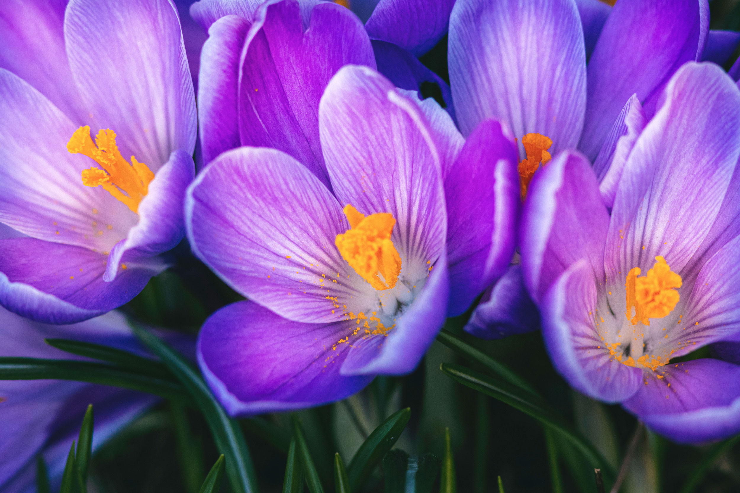 Astro Daily: March 21, 2022