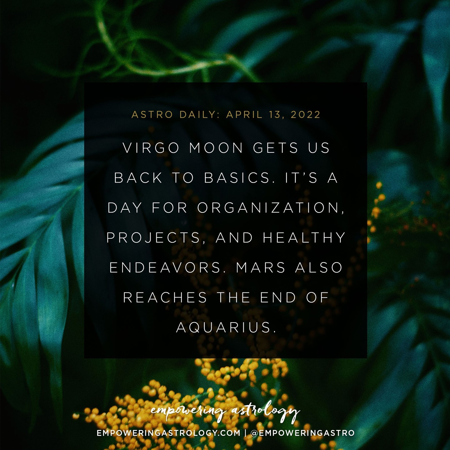 New Moon In Aries: Core Values – Empowering Astrology