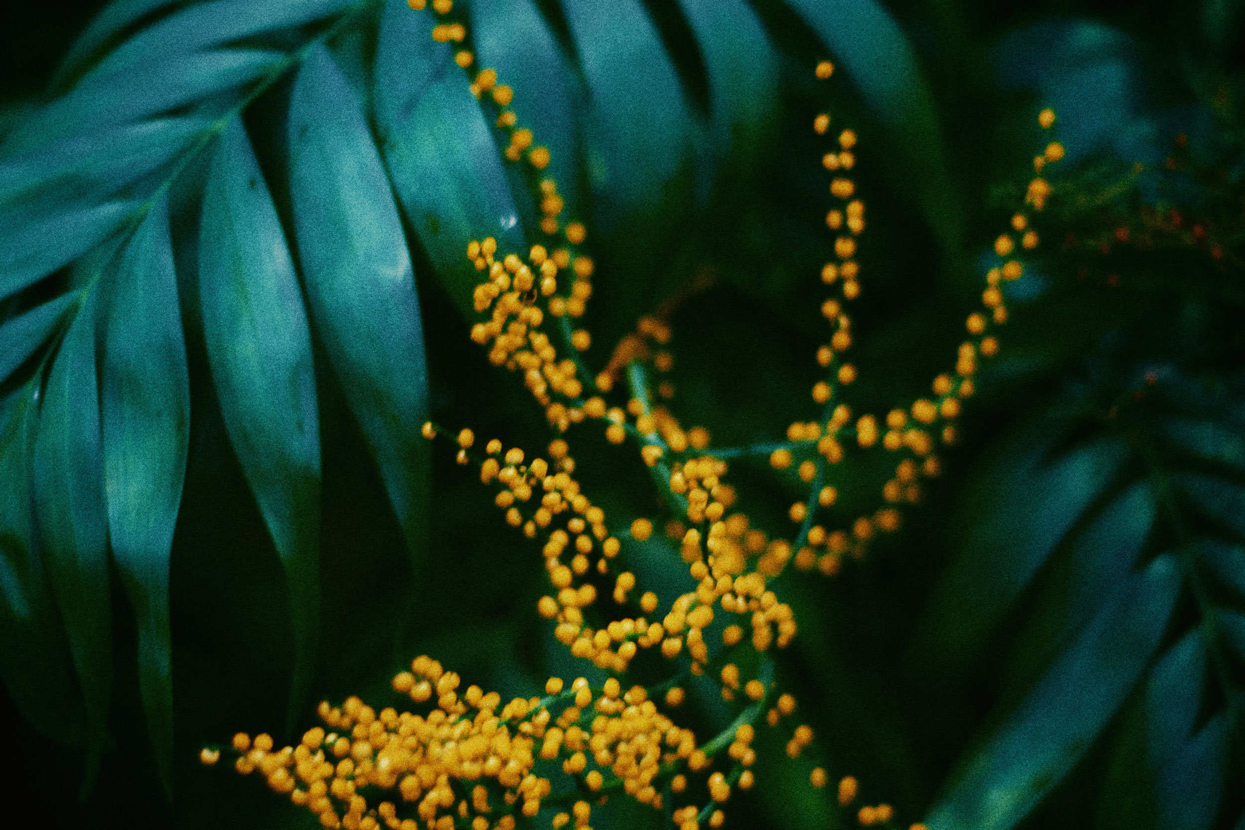 Astro Daily: April 13, 2022