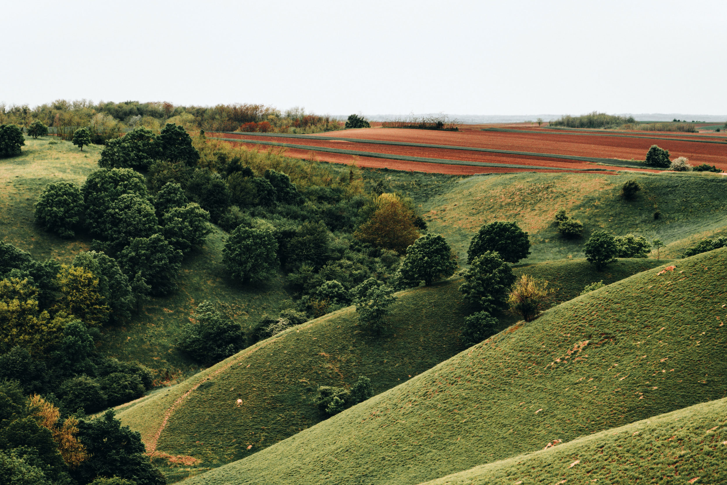 Astro Daily: May 19, 2022