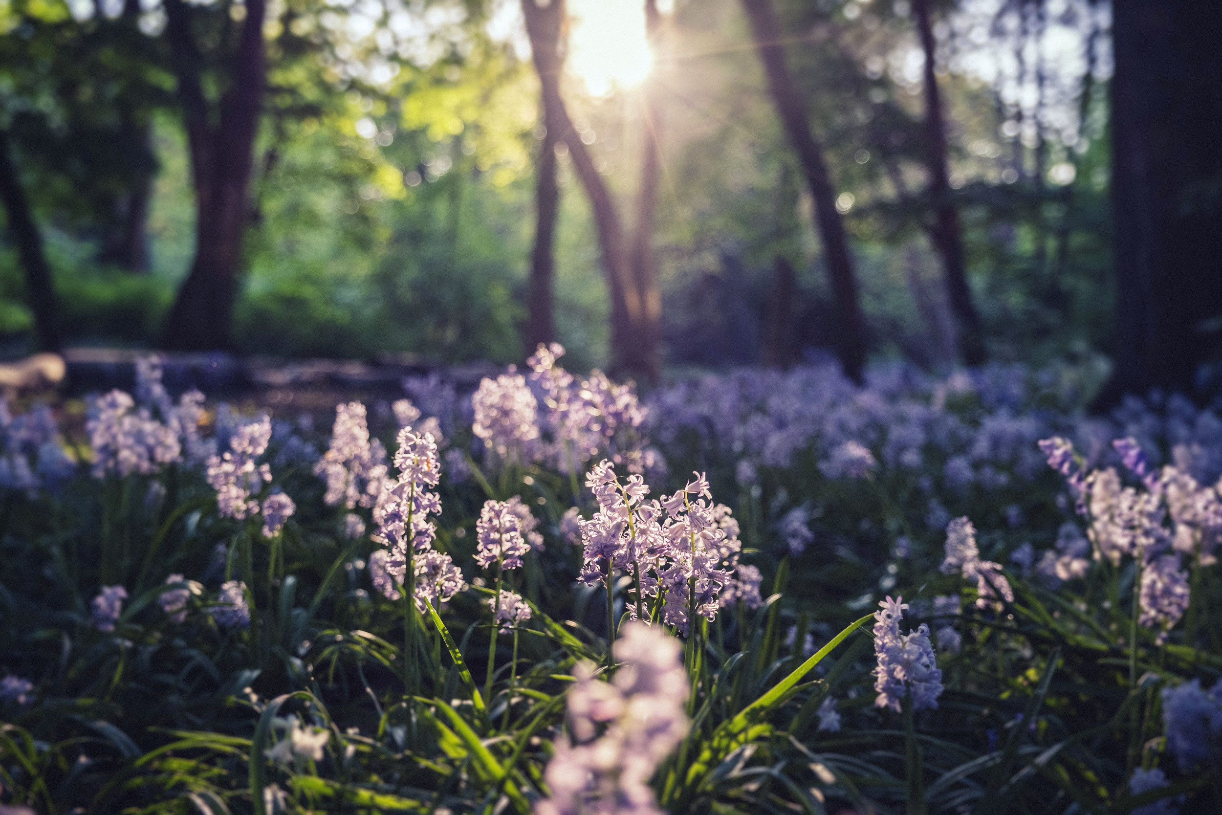 Astro Daily: May 3, 2022