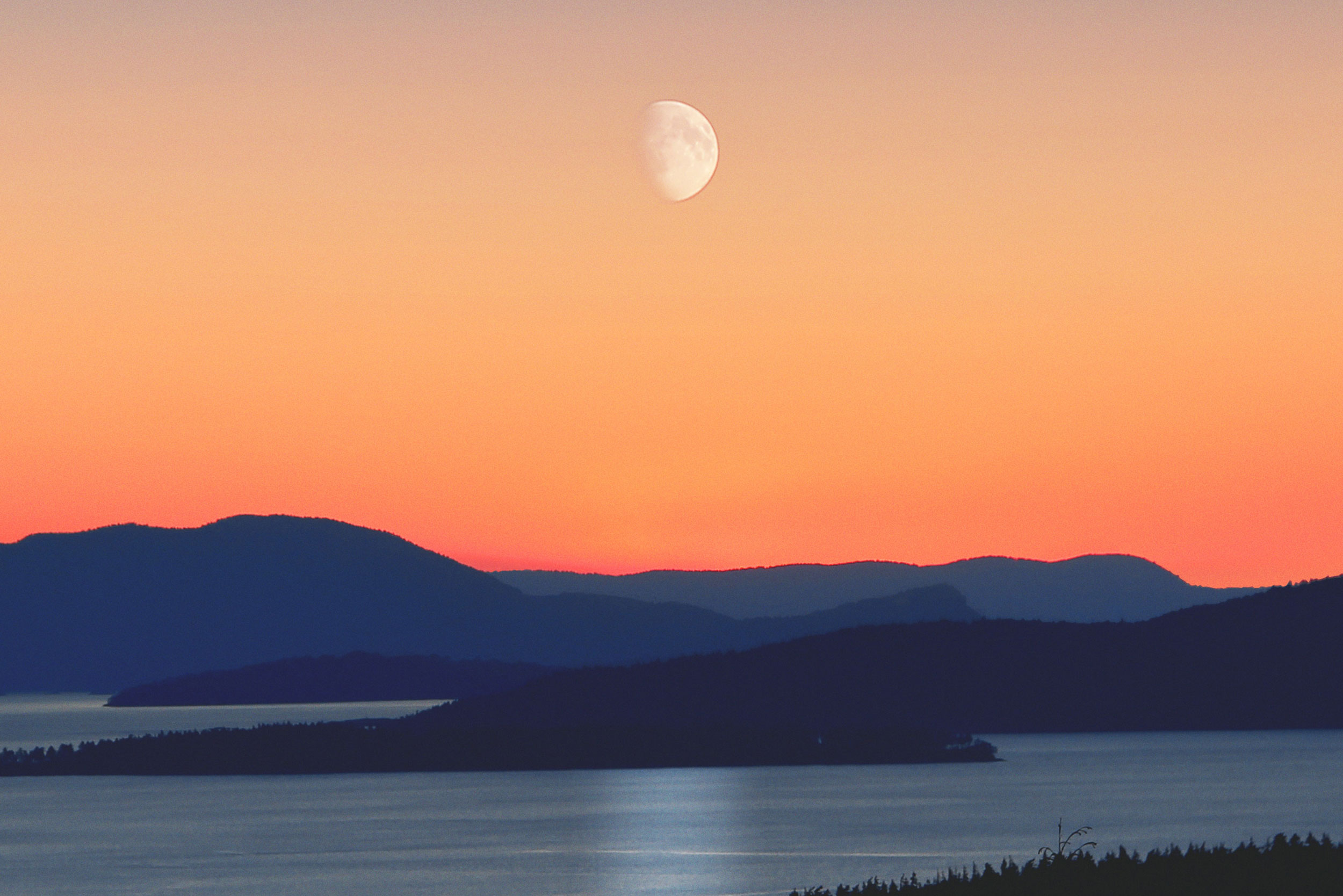 Quarter moon