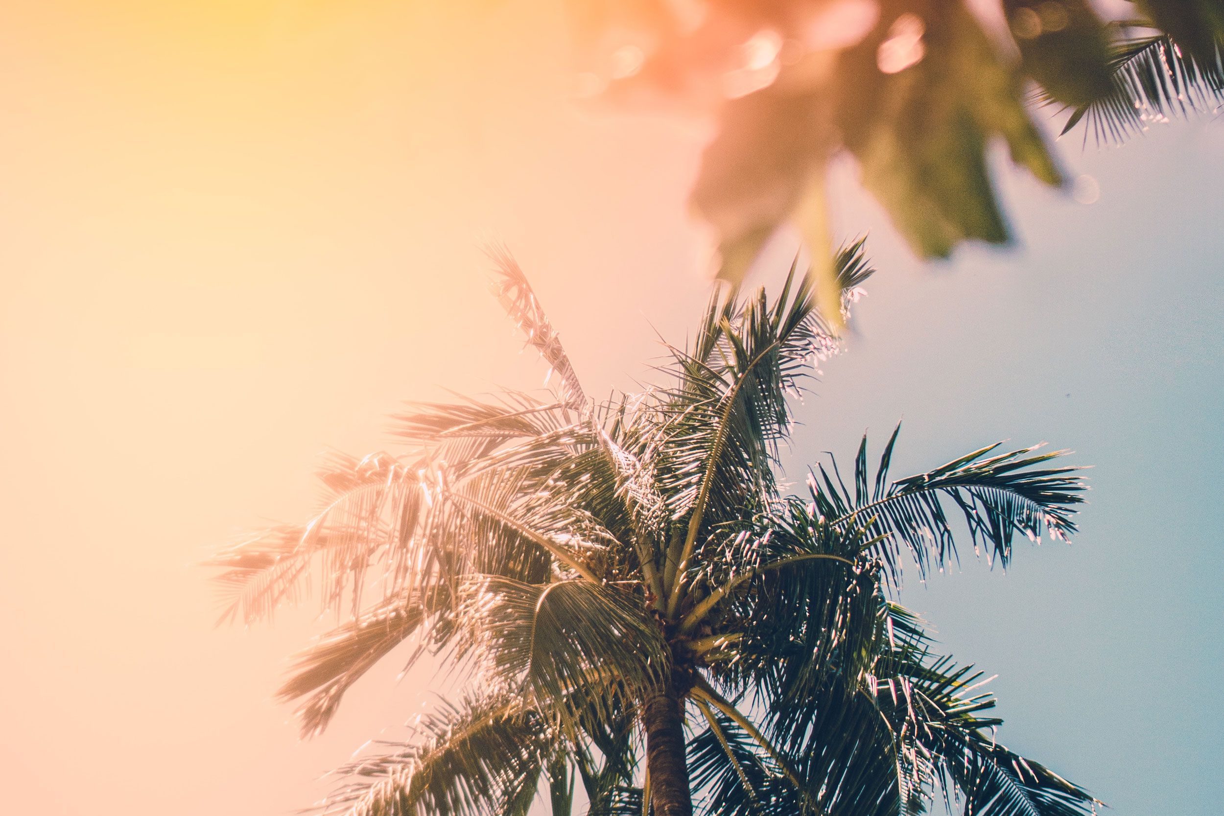 Astro Daily: July 25, 2022