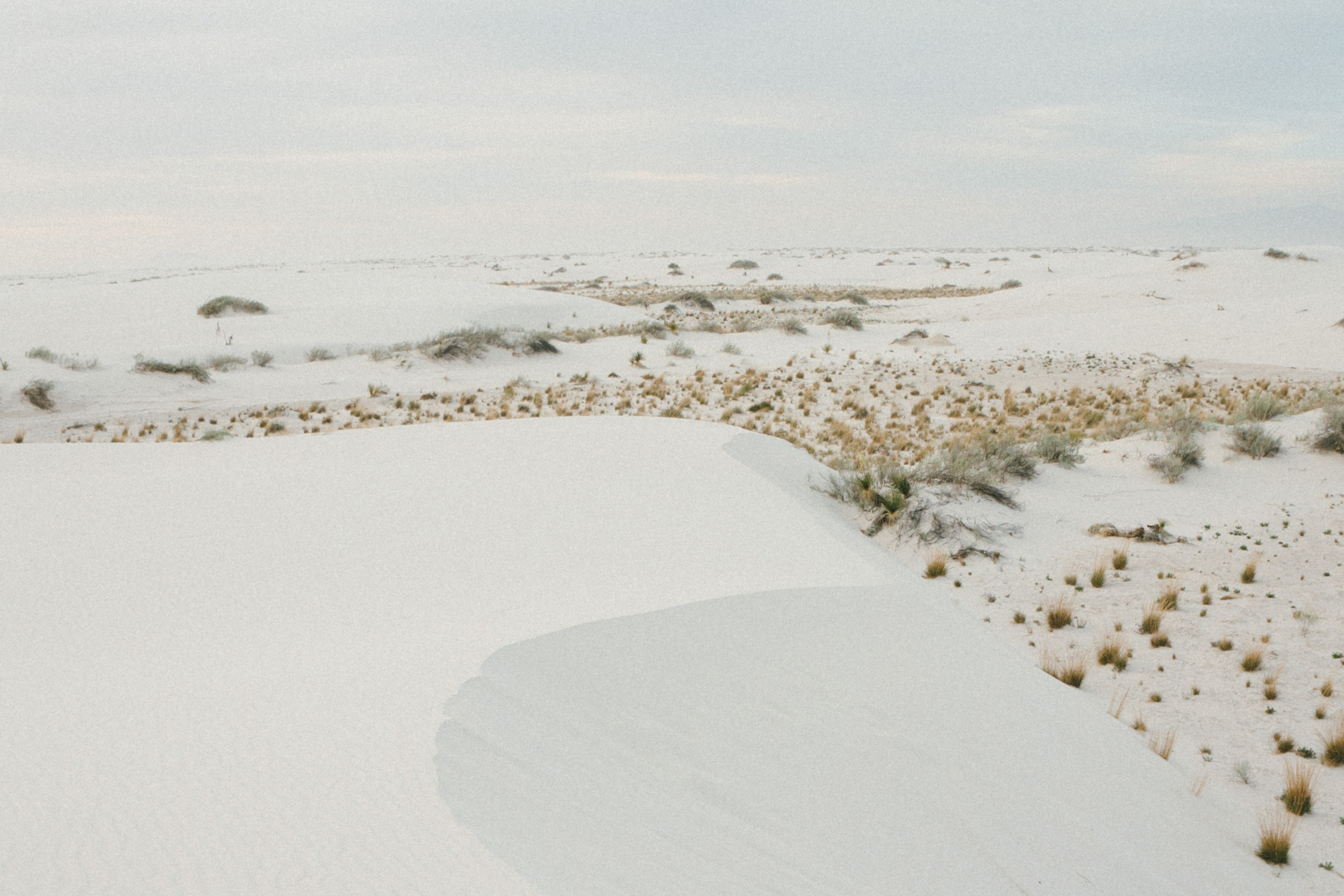 White sands