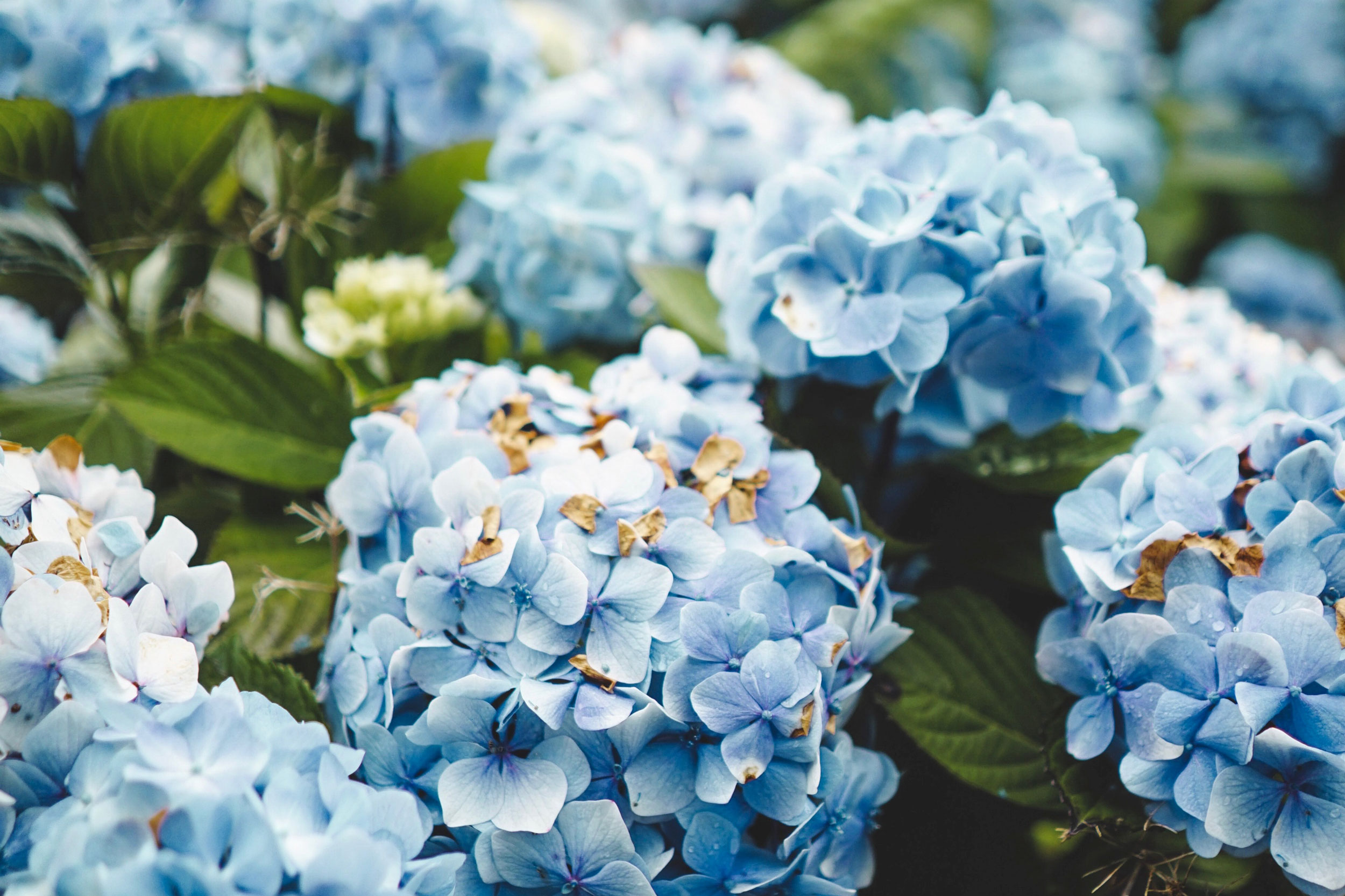 Astro Daily: July 7, 2022