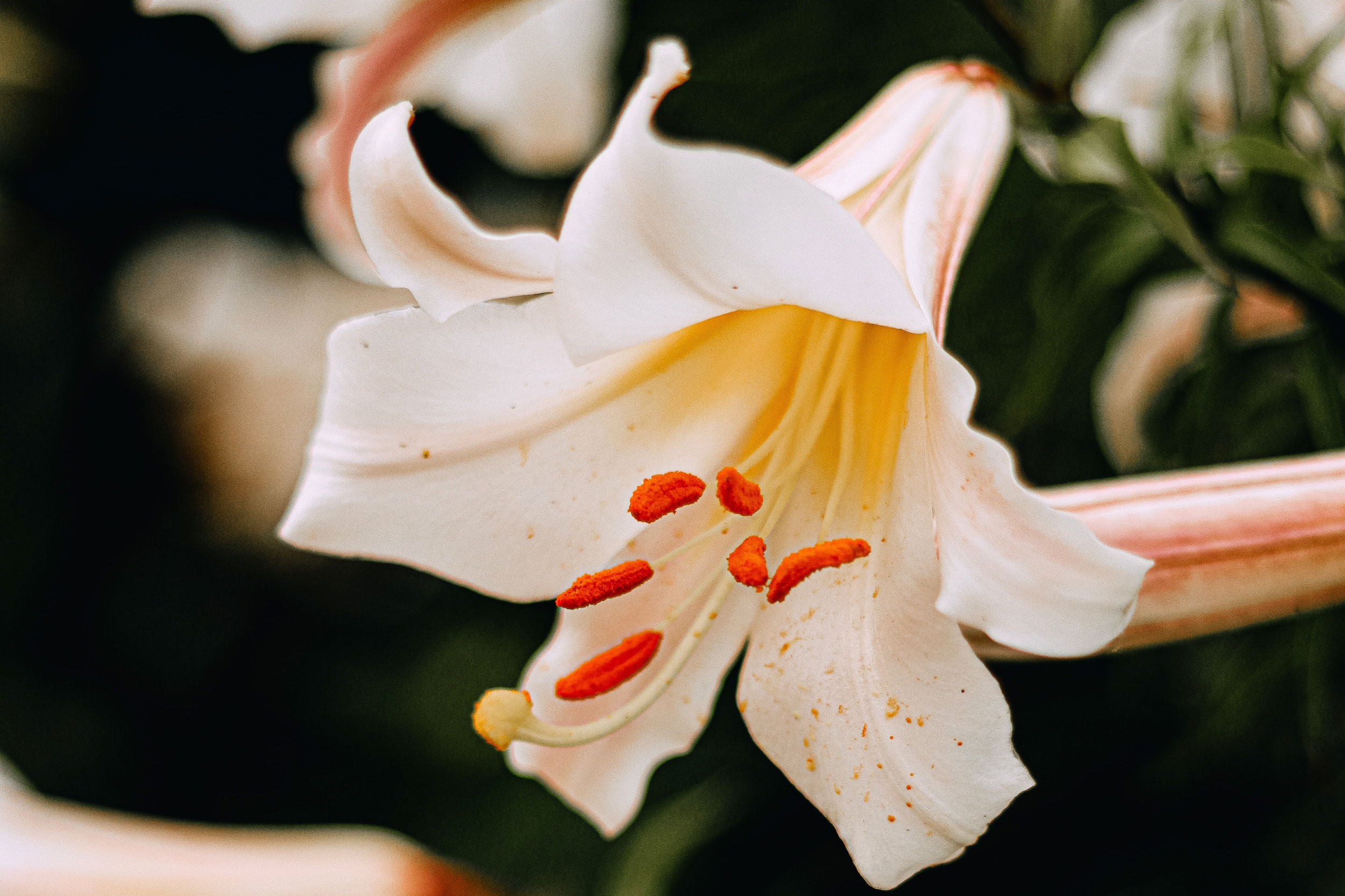 Astro Daily: August 2, 2022