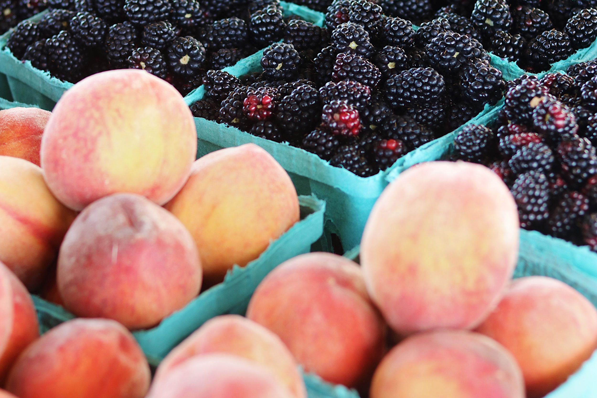 Astro Daily: August 18, 2022