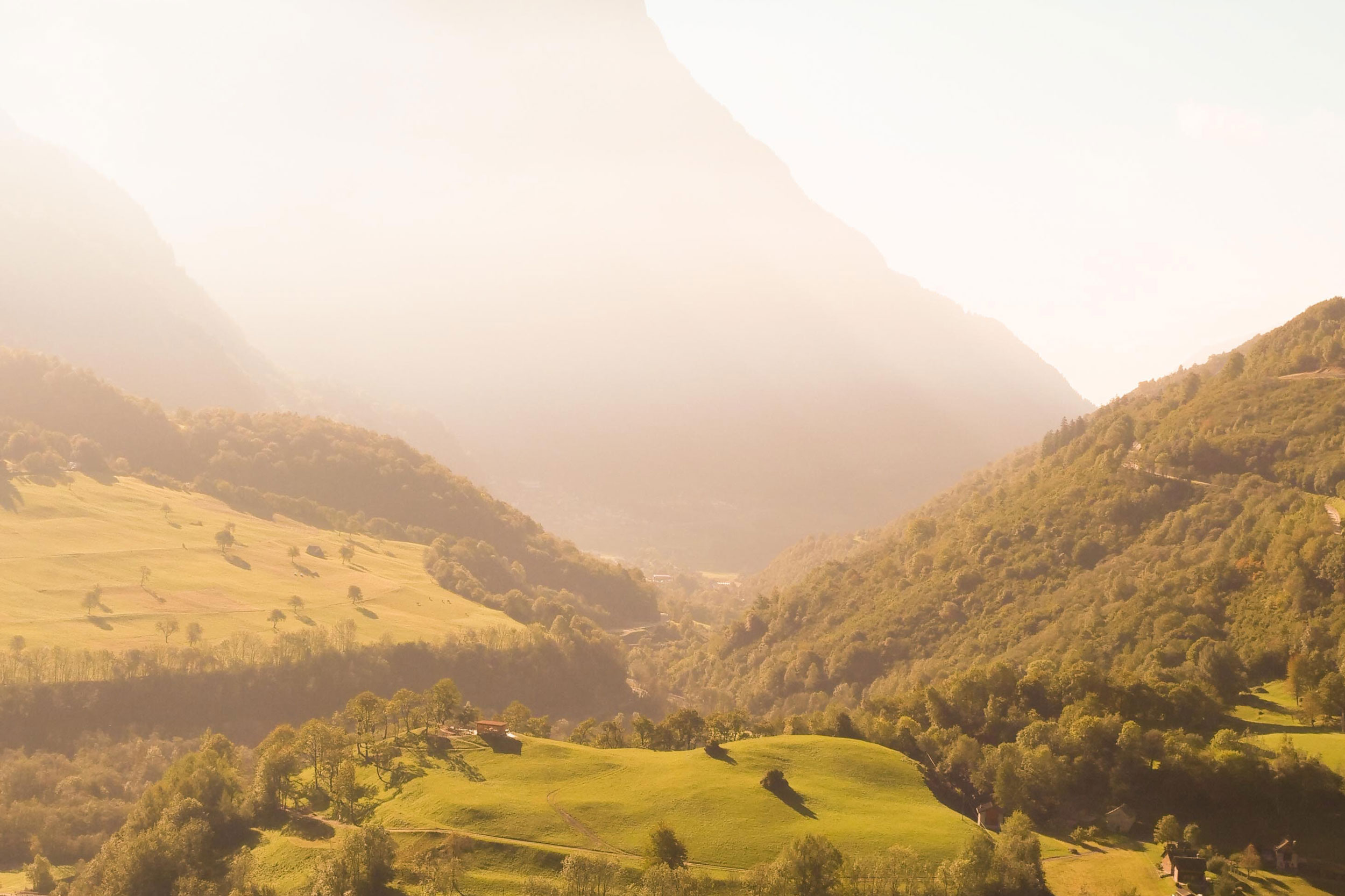 Astro Daily: August 24, 2022