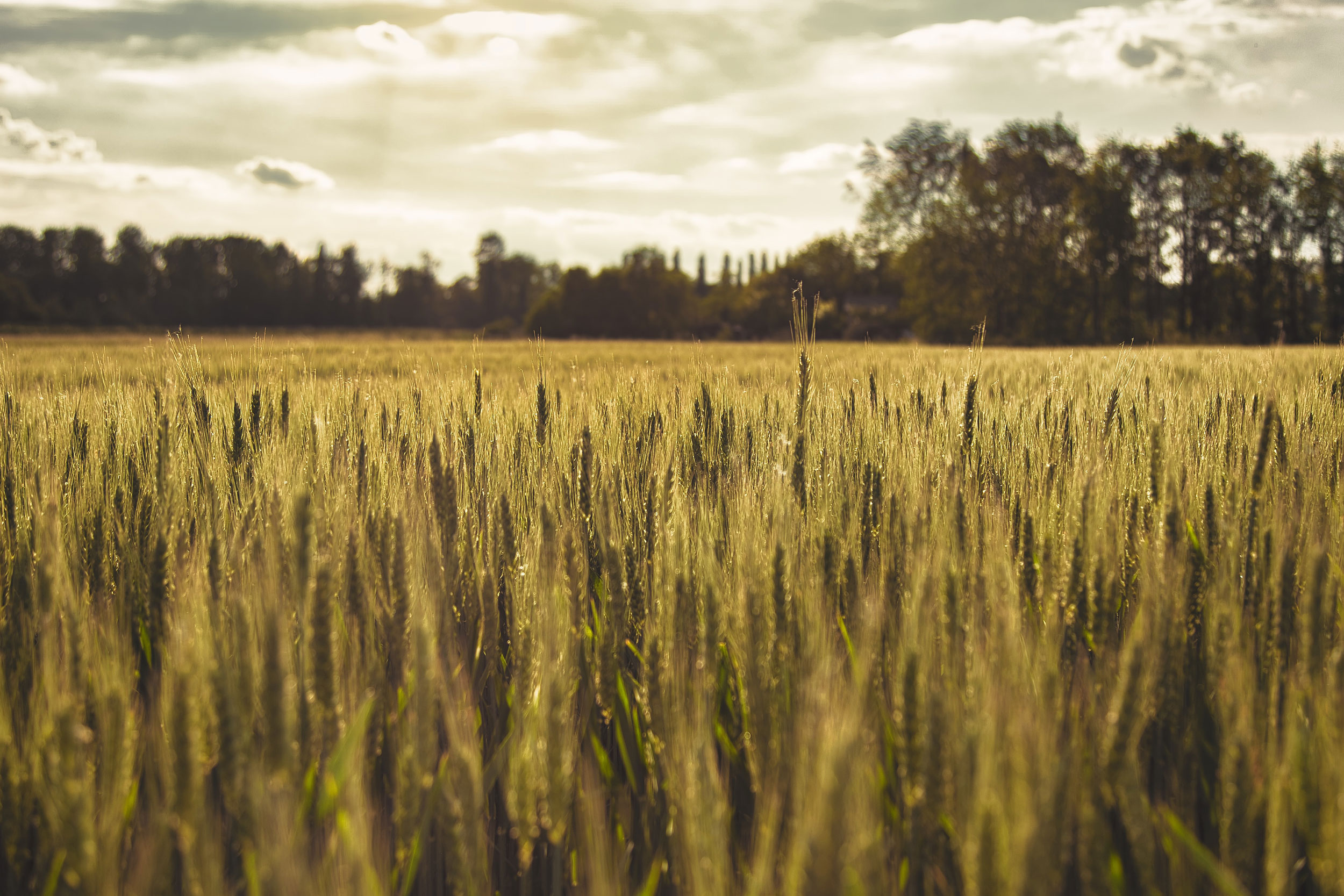 Astro Daily: September 13, 2022