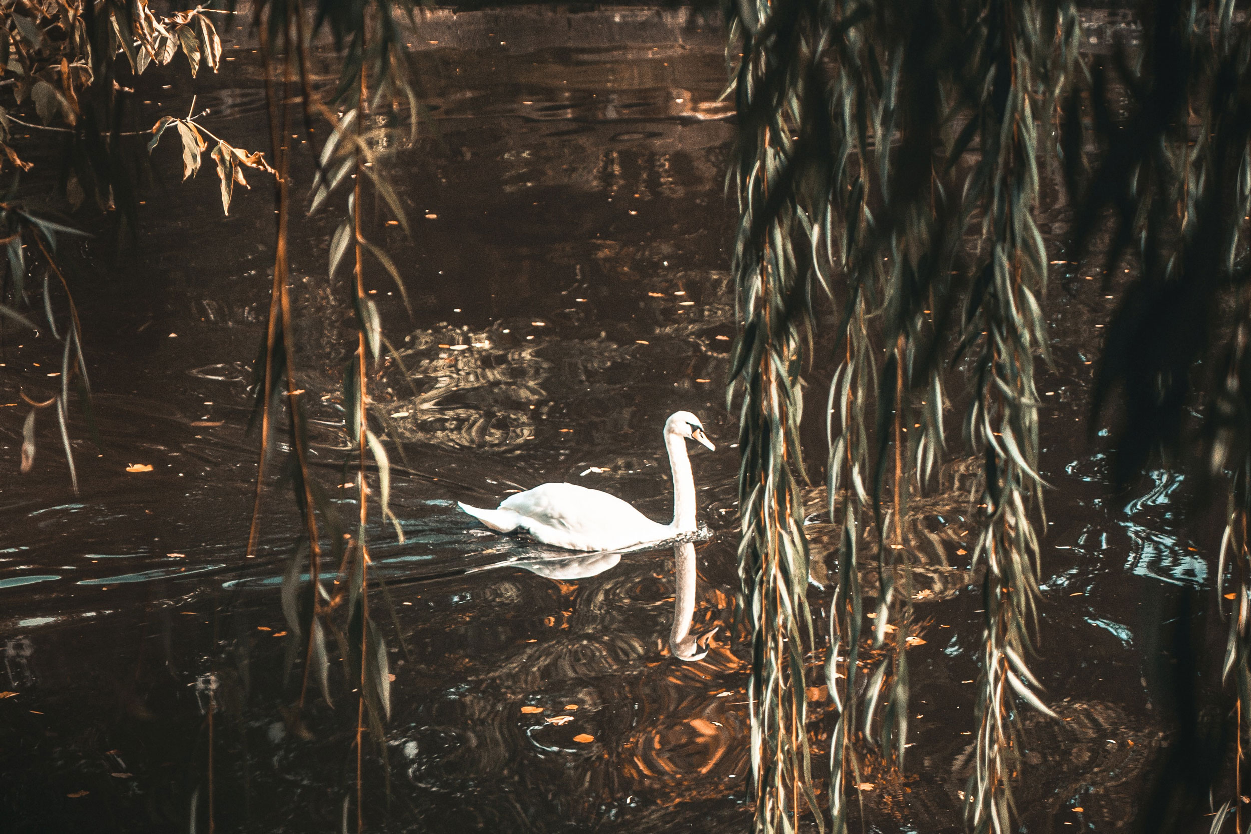 Astro Daily: September 21, 2022