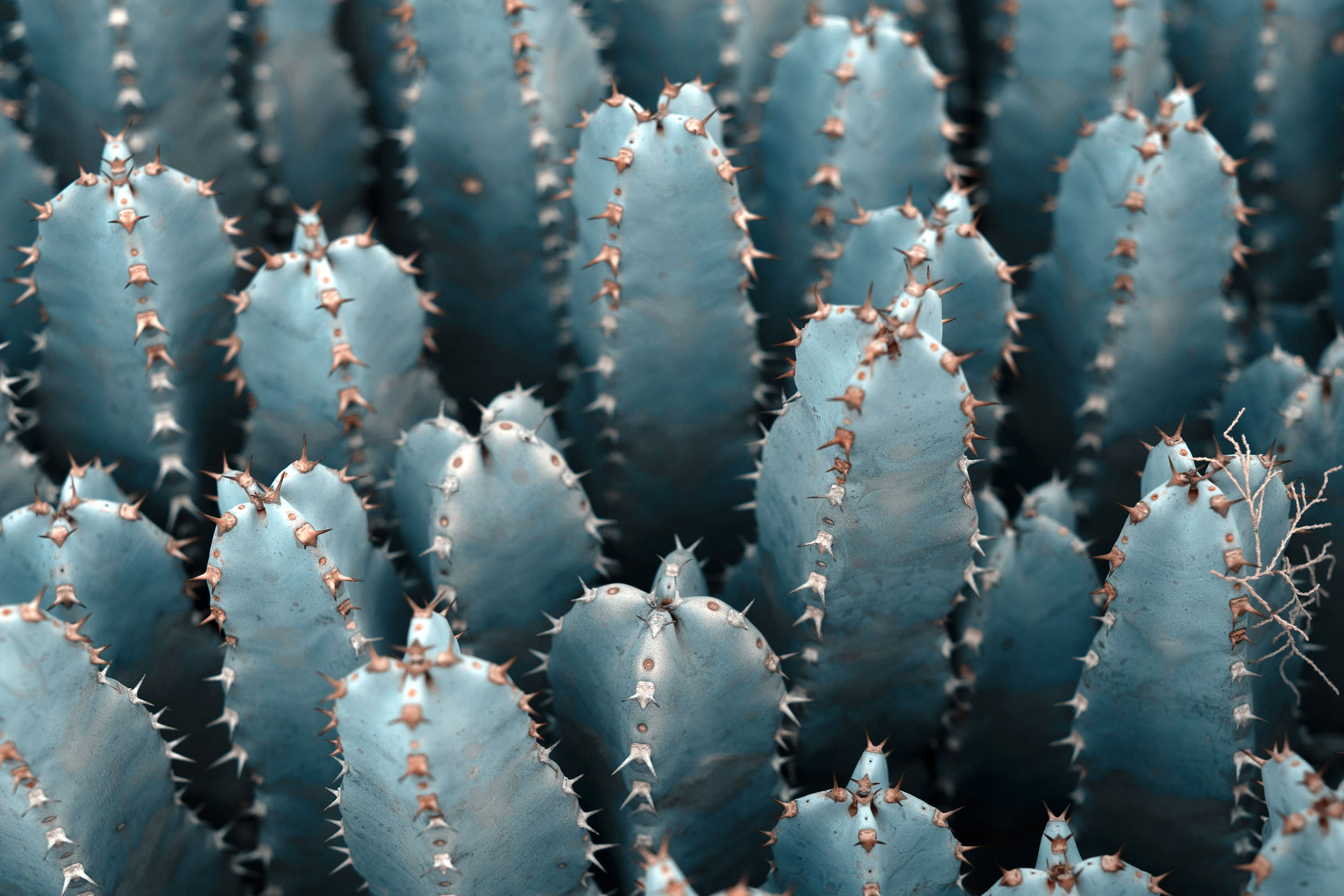 Astro Daily: October 19, 2022