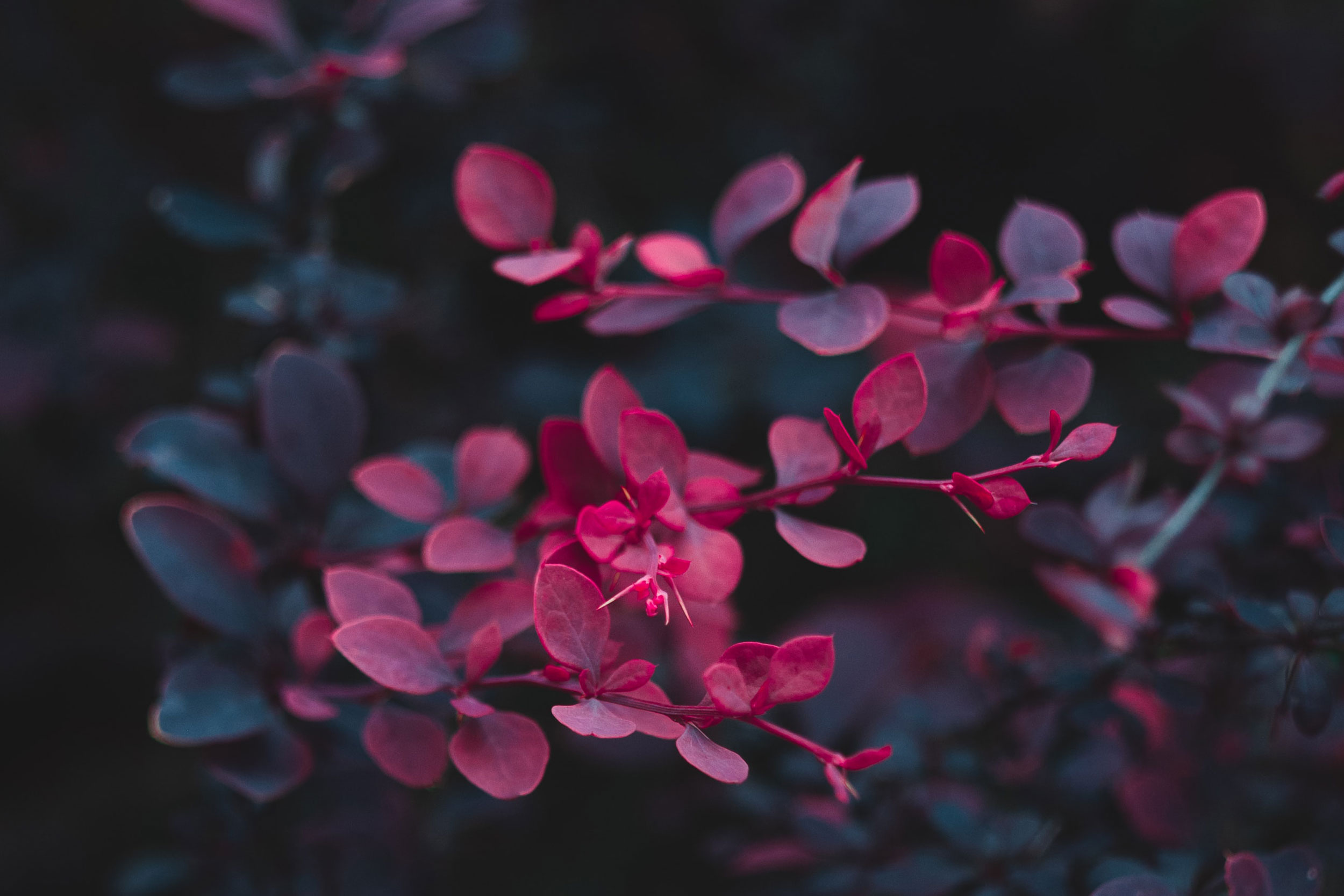 Astro Daily: October 20, 2022