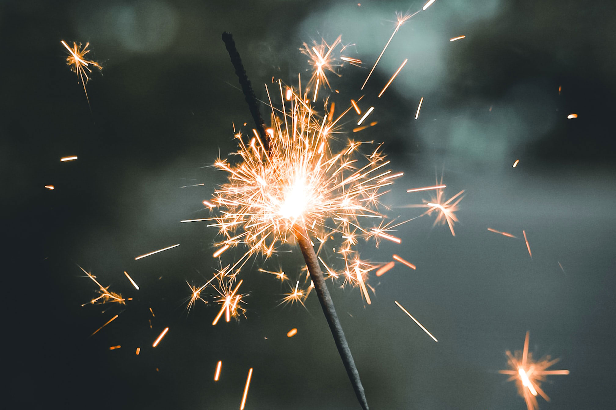 Astro Daily: November 4, 2022