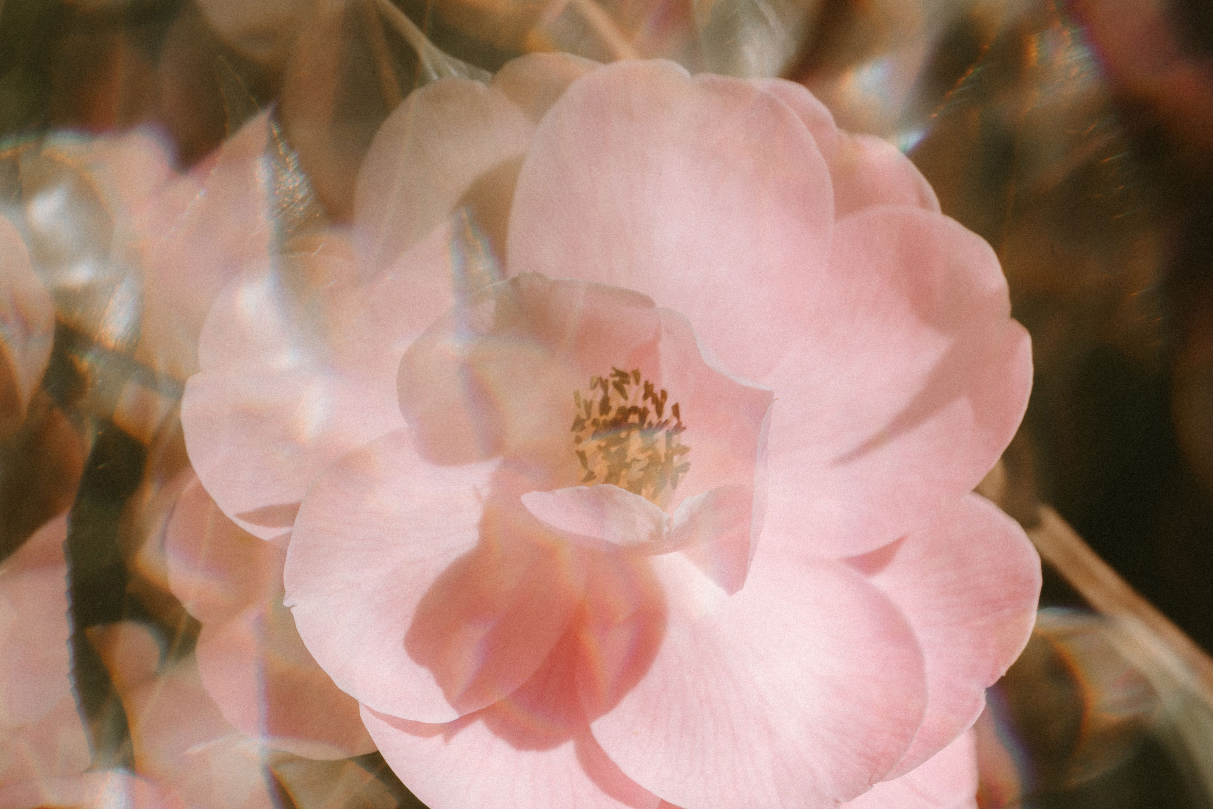 Astro Daily: December 28, 2022