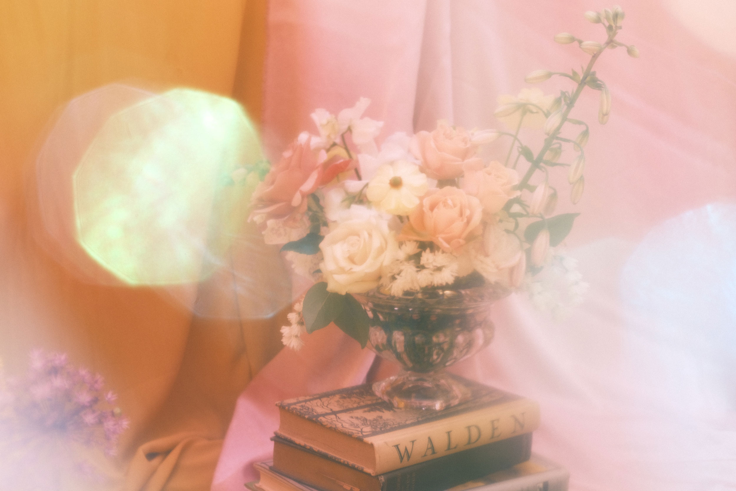 Astro Daily: February 14, 2023