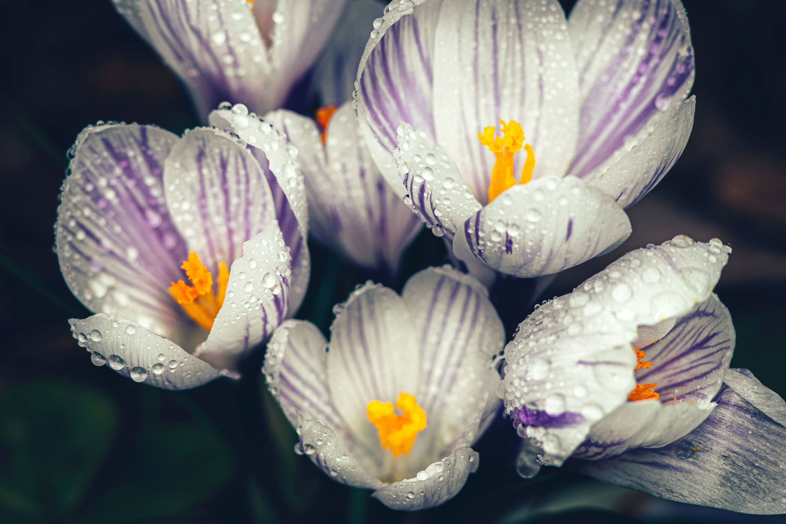 Astro Daily: March 20, 2023