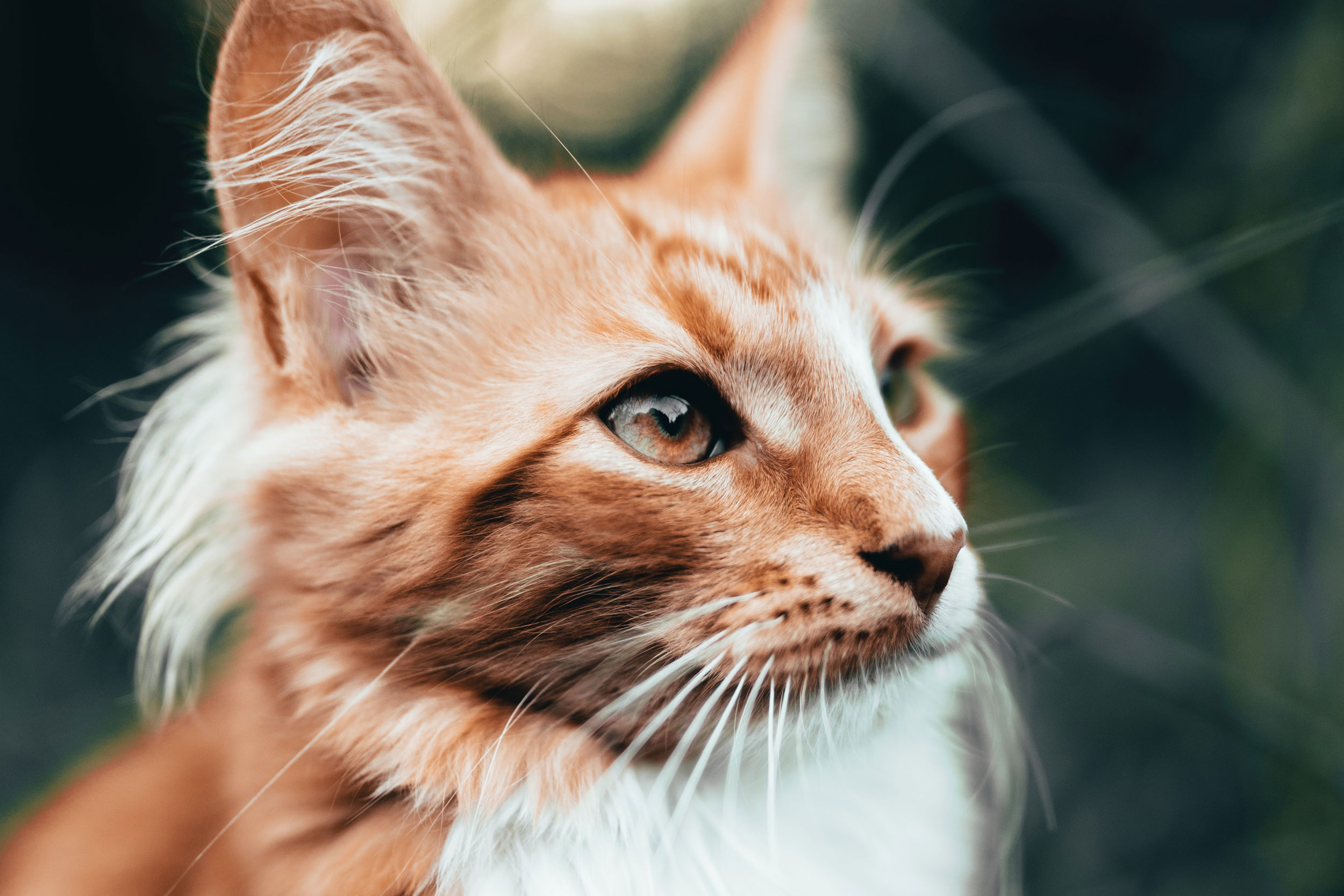 Astro Daily: March 31, 2023