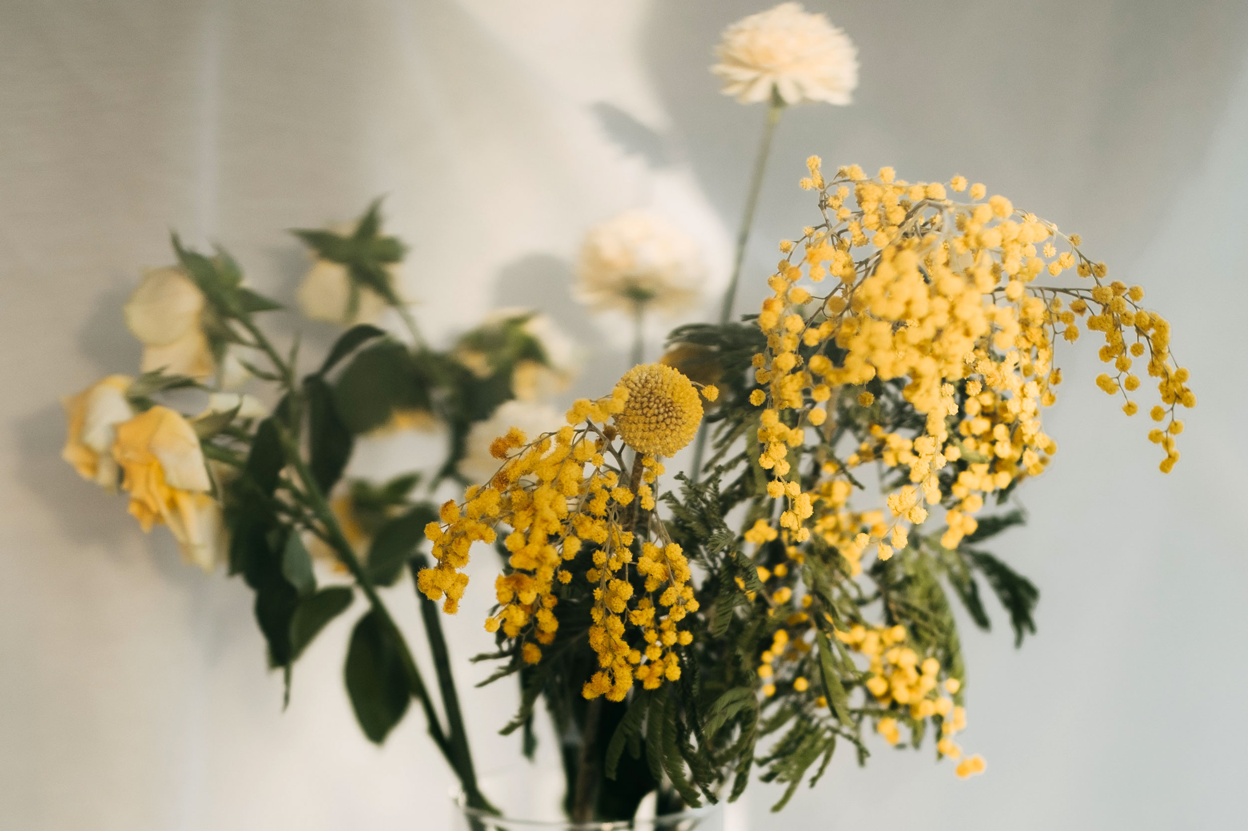 Astro Daily: March 9, 2023