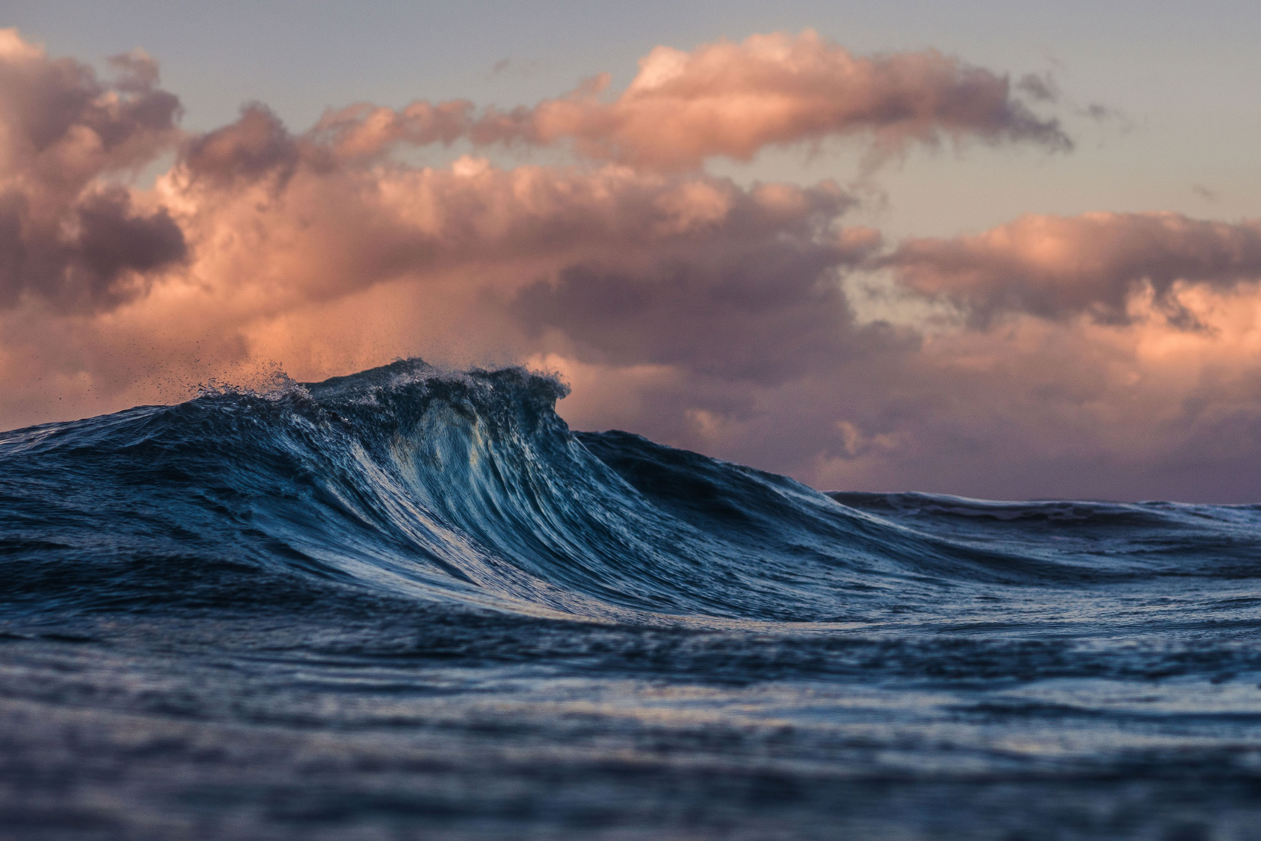 Wave in the ocean
