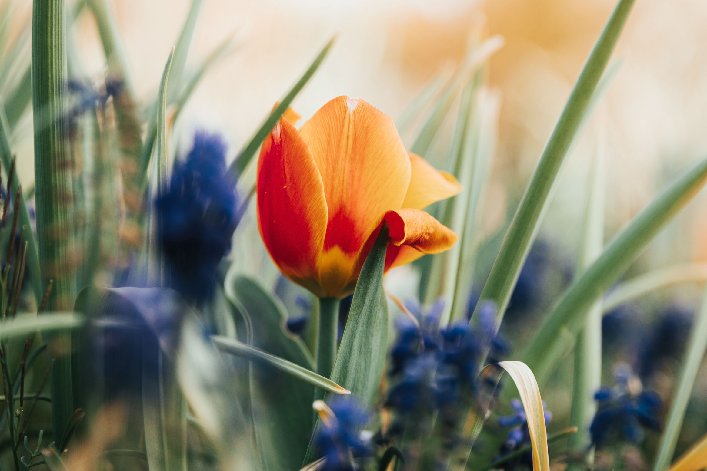 Astro Daily: April 26, 2023