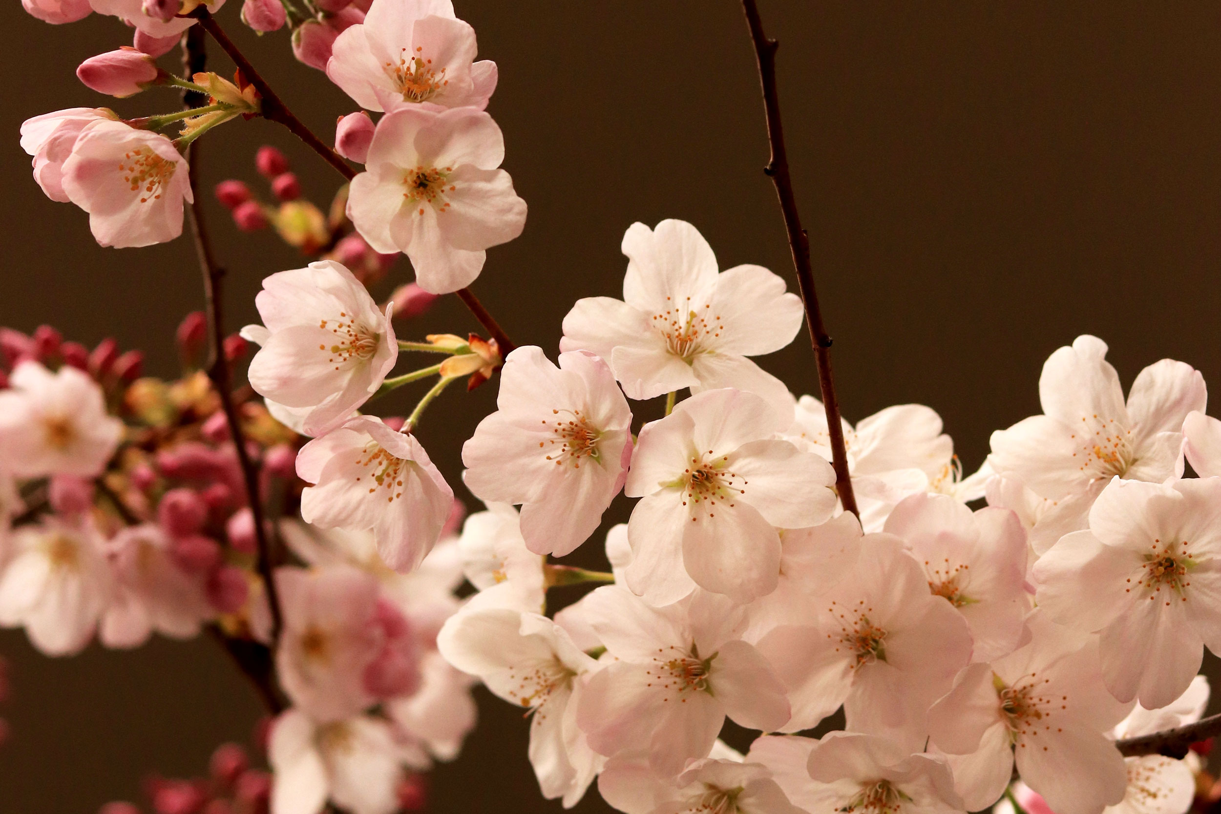 Astro Daily: April 5, 2023