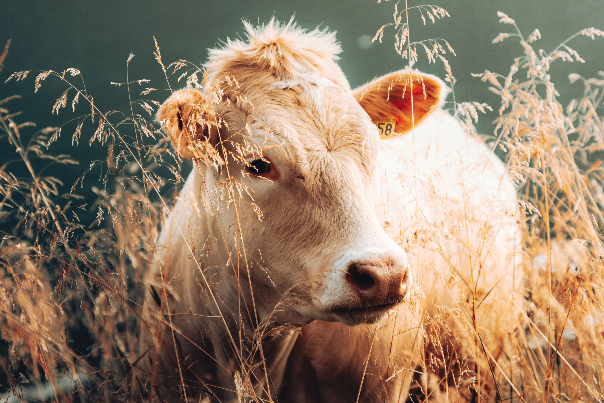 Astro Daily: April 21, 2023