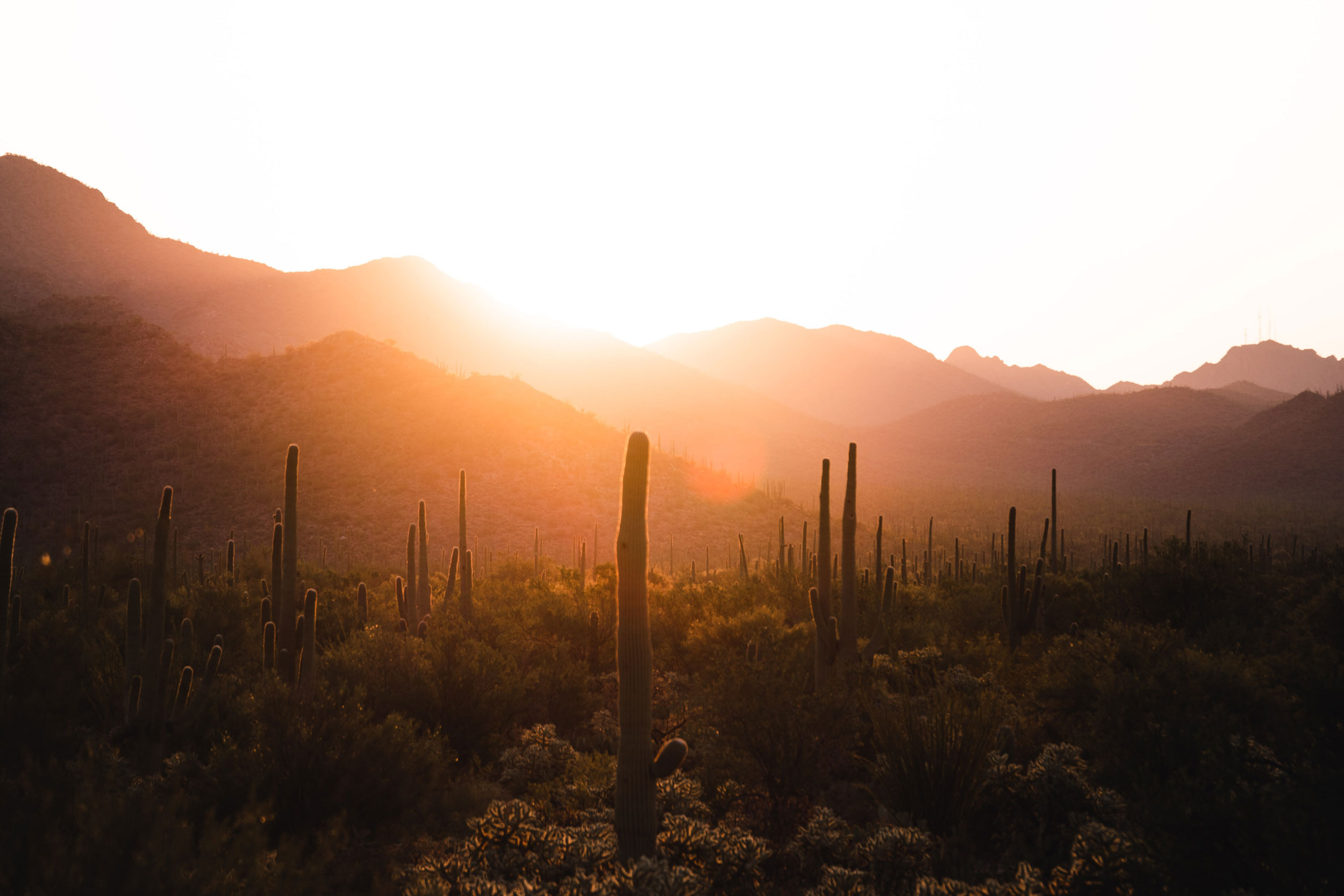 Photo by Jacob Diehl on Unsplash