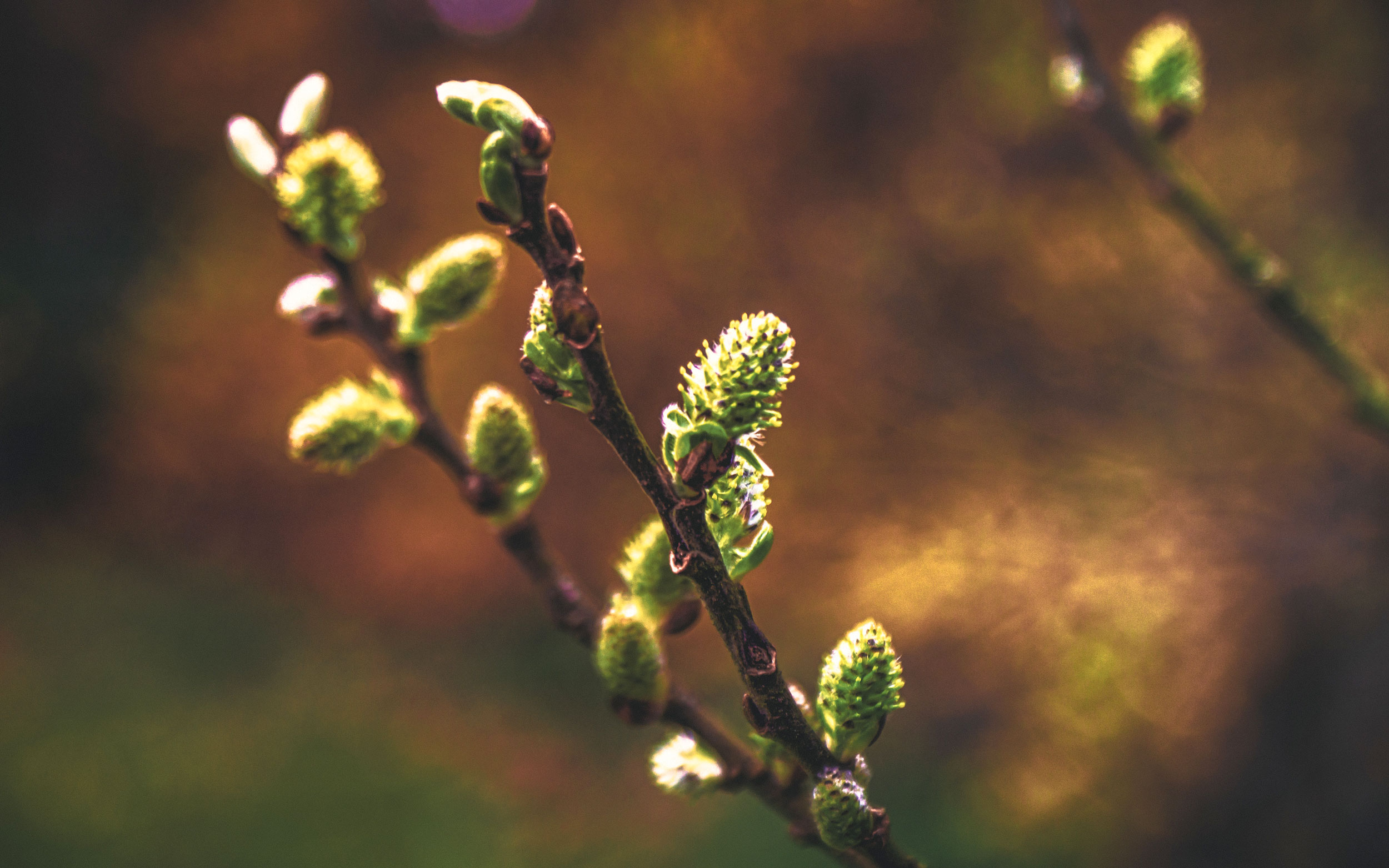 Astro Daily: April 19, 2023