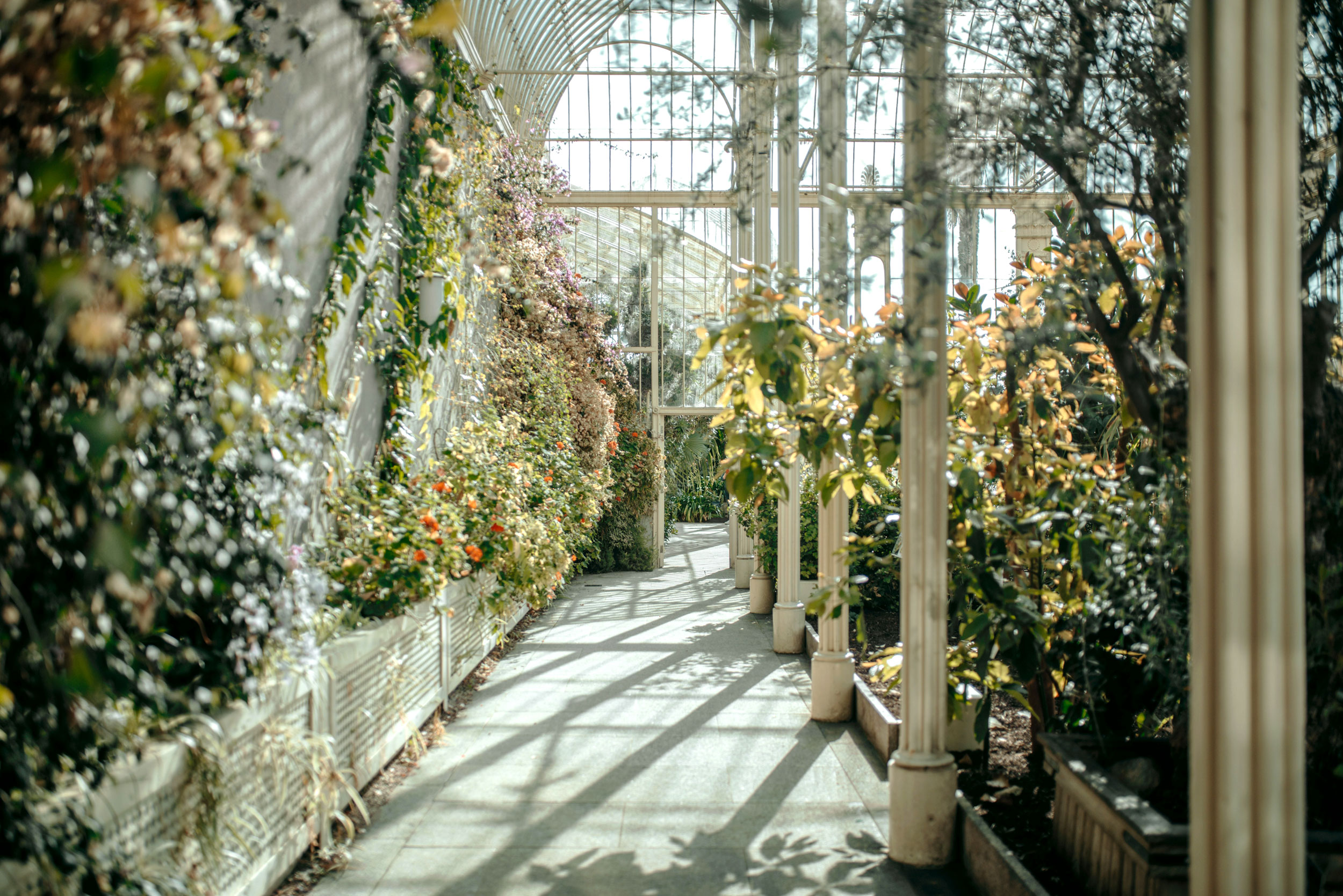 Greenhouse