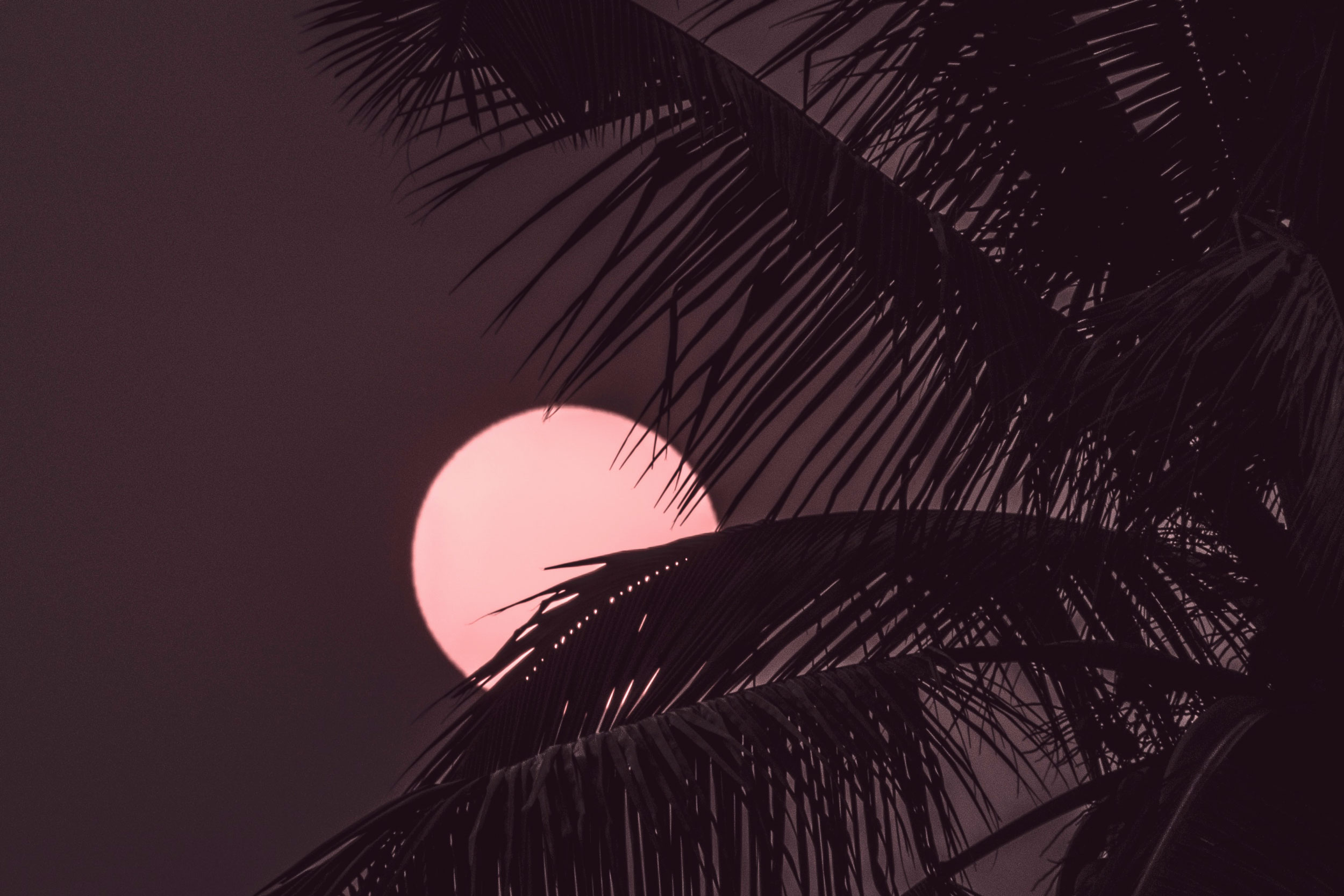 Astro Daily: July 25, 2023
