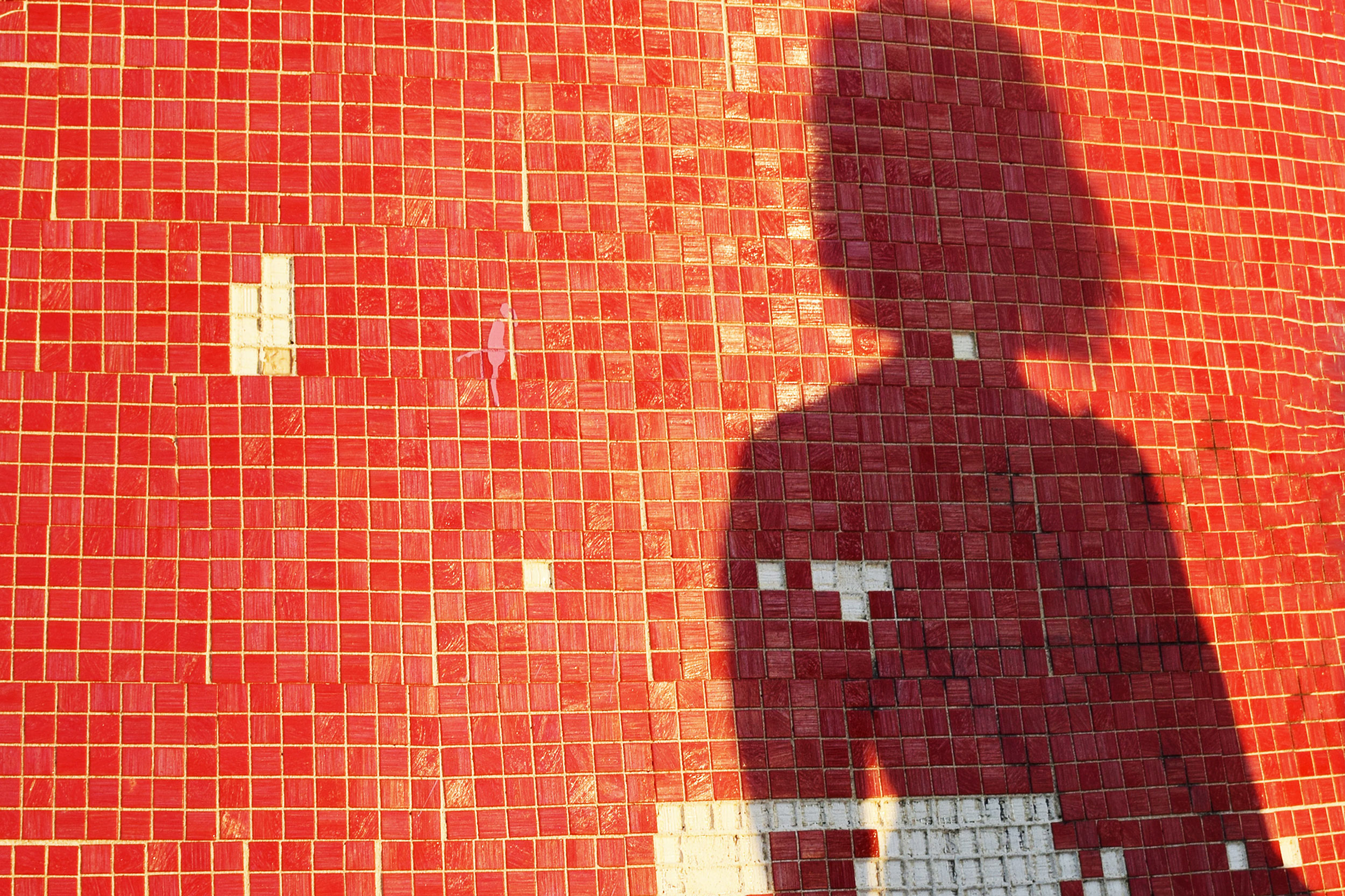 Broken tile. Photo by Chris Barbalis on Unsplash