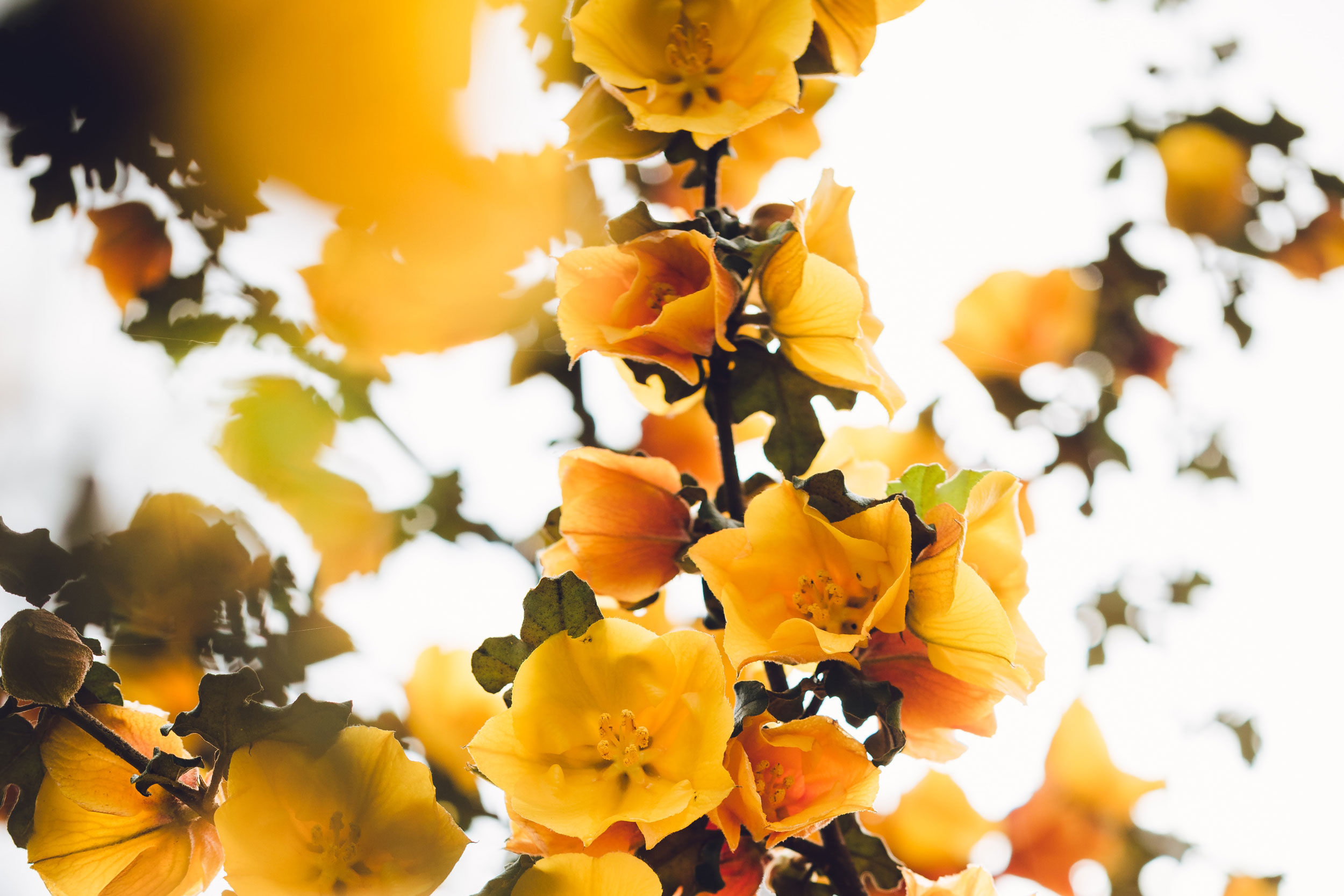 Astro Daily: July 19, 2023