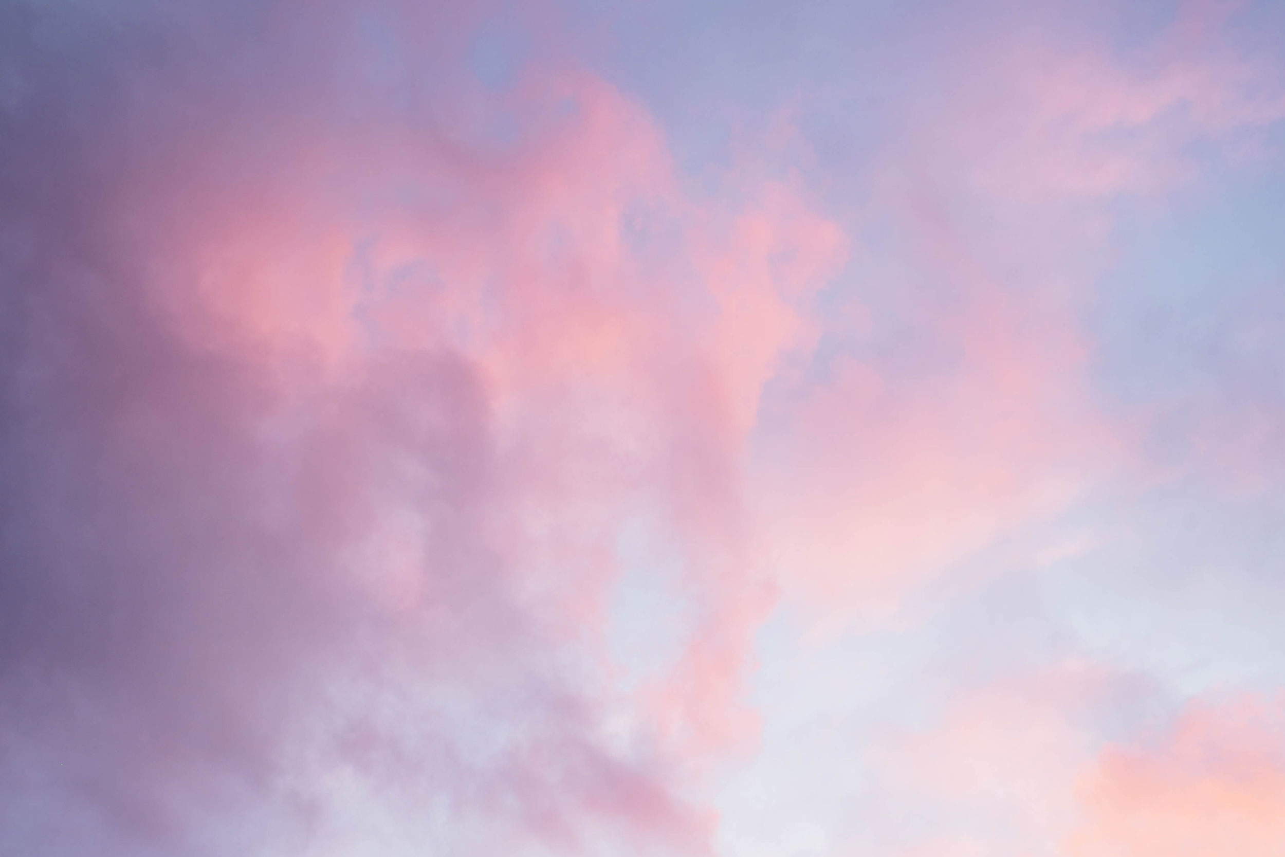 Photo by Atsadawut Chaiseeha on Unsplash
