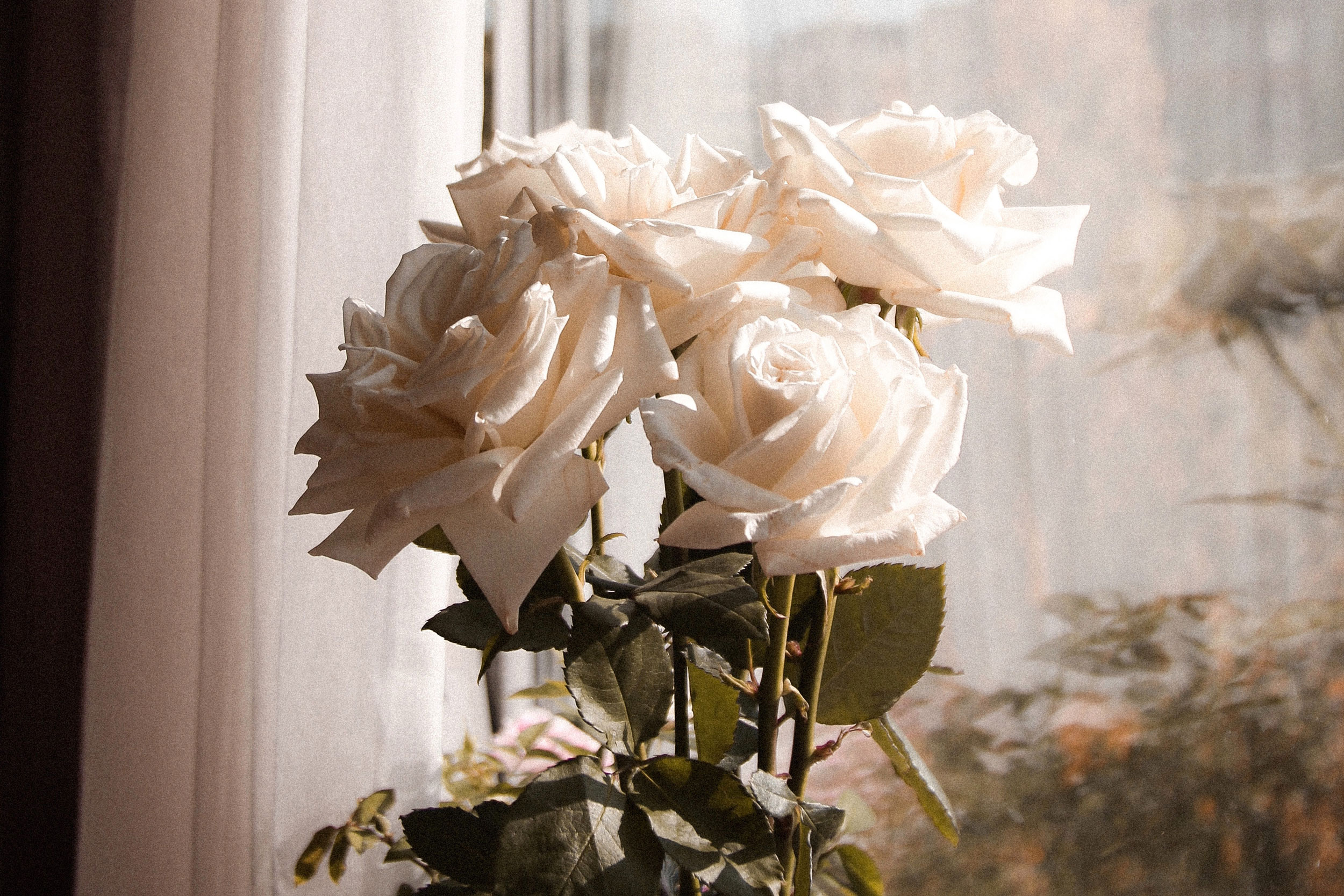 Astro Daily: September 1, 2023